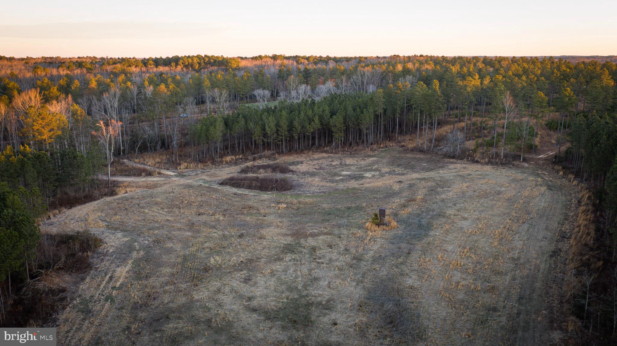 1052 South Hill Road Brodnax, VA 23920 - Photo 54 of 100