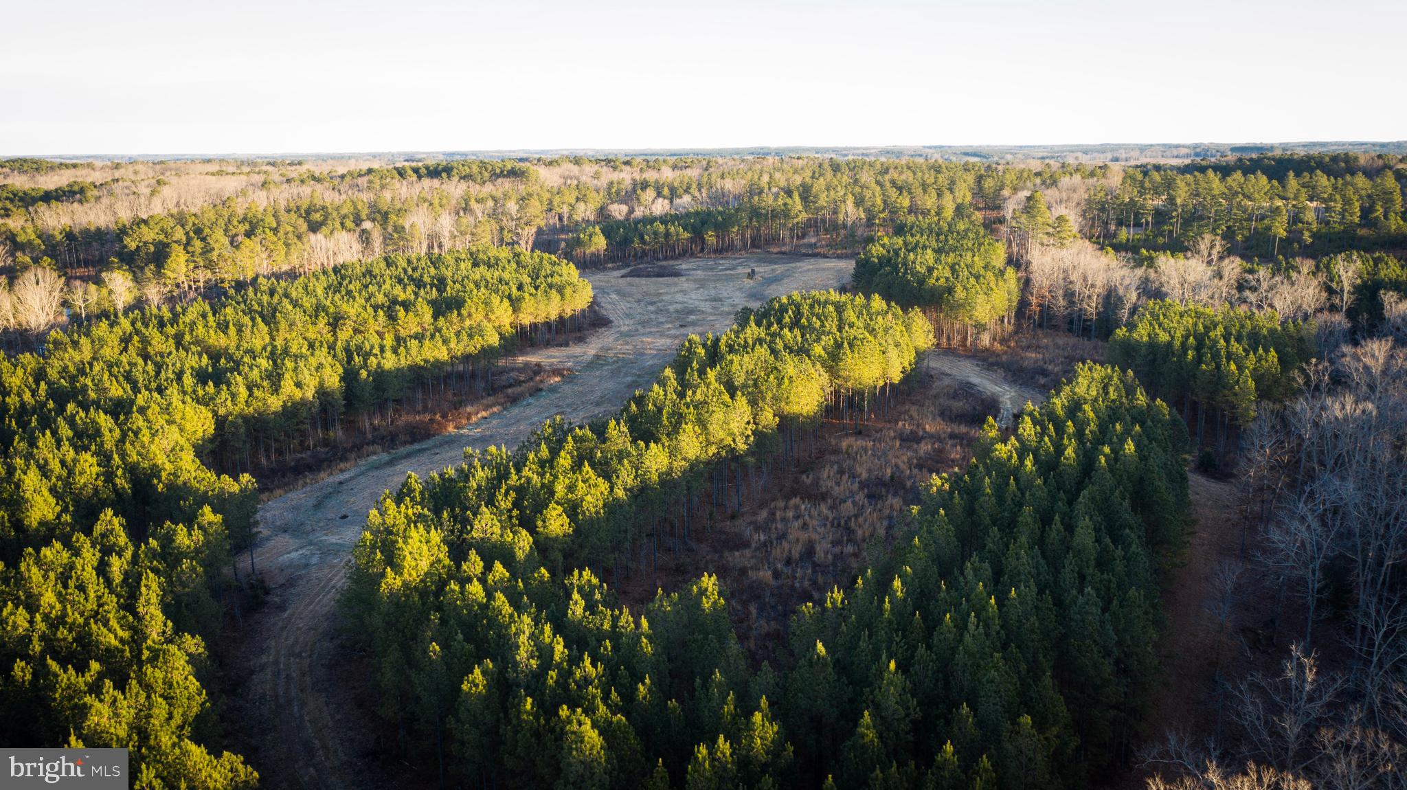 1052 South Hill Road Brodnax, VA 23920 - Photo 55 of 100 a view of a lake with a mountain view