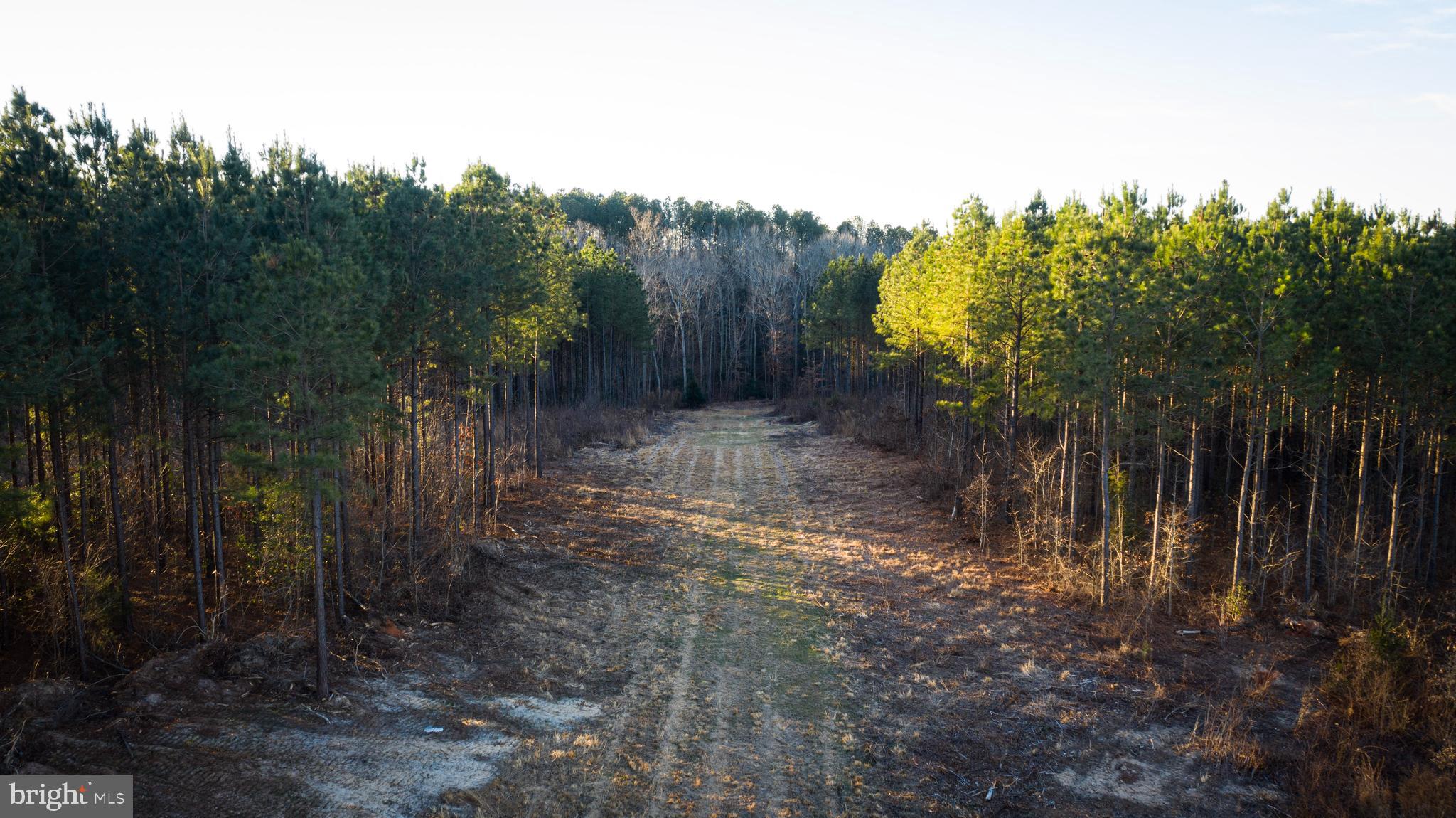 1052 South Hill Road Brodnax, VA 23920 - Photo 56 of 100 a view of a yard with lots of green space