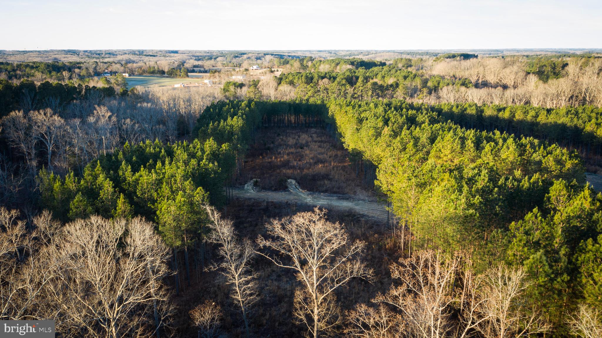 1052 South Hill Road Brodnax, VA 23920 - Photo 57 of 100