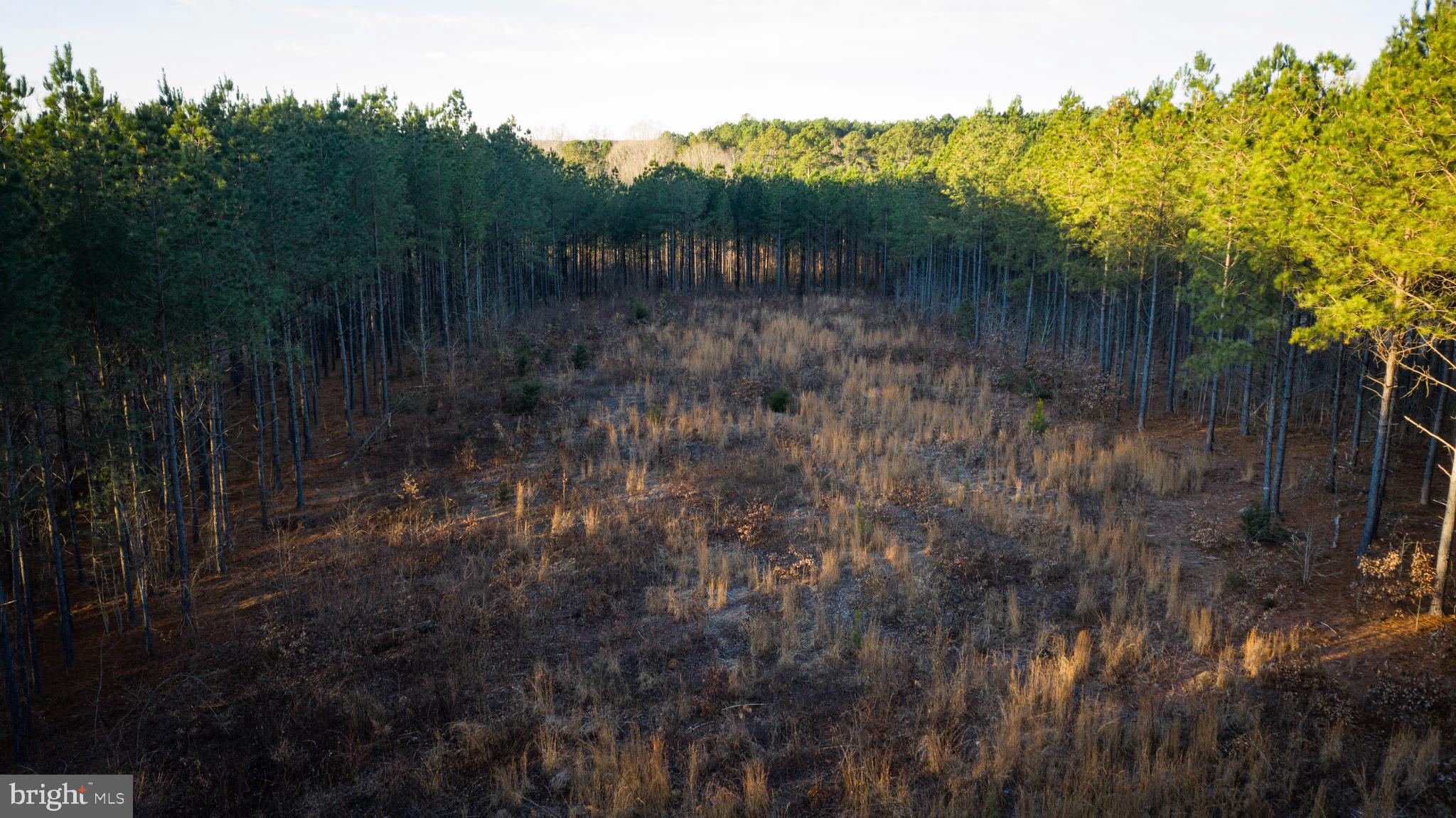 1052 South Hill Road Brodnax, VA 23920 - Photo 58 of 100 a view of a lake in a forest