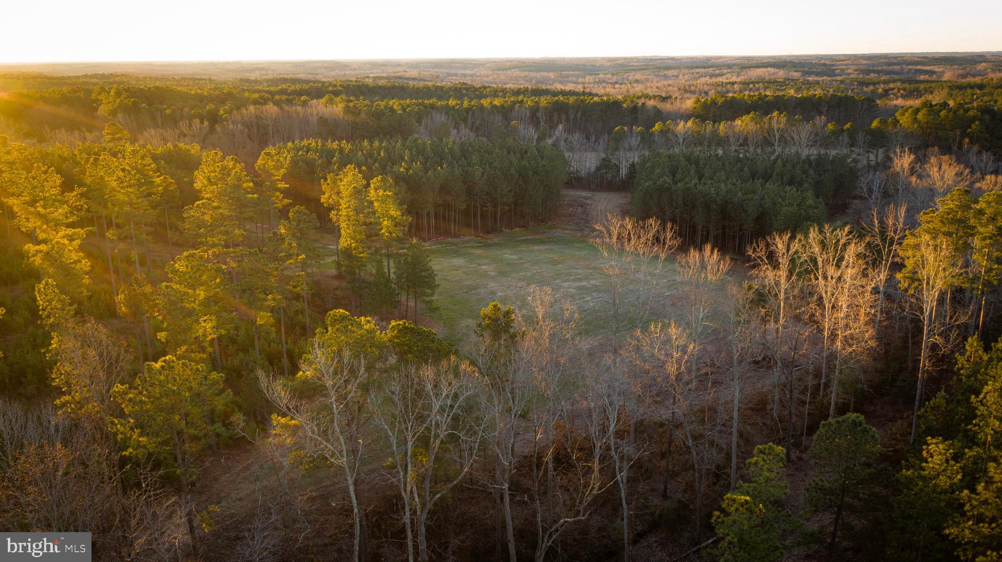 1052 South Hill Road Brodnax, VA 23920 - Photo 59 of 100