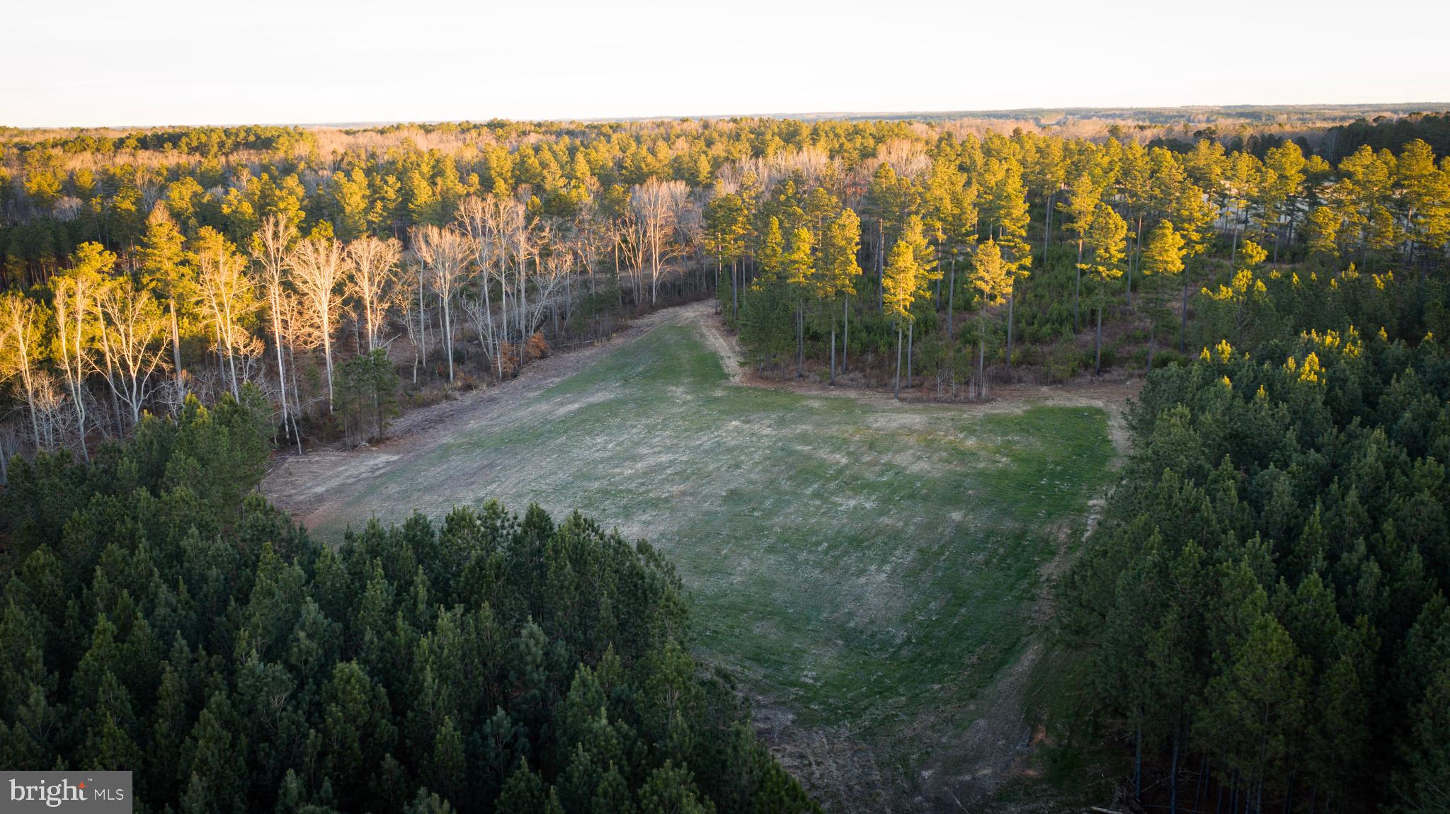 1052 South Hill Road Brodnax, VA 23920 - Photo 60 of 100
