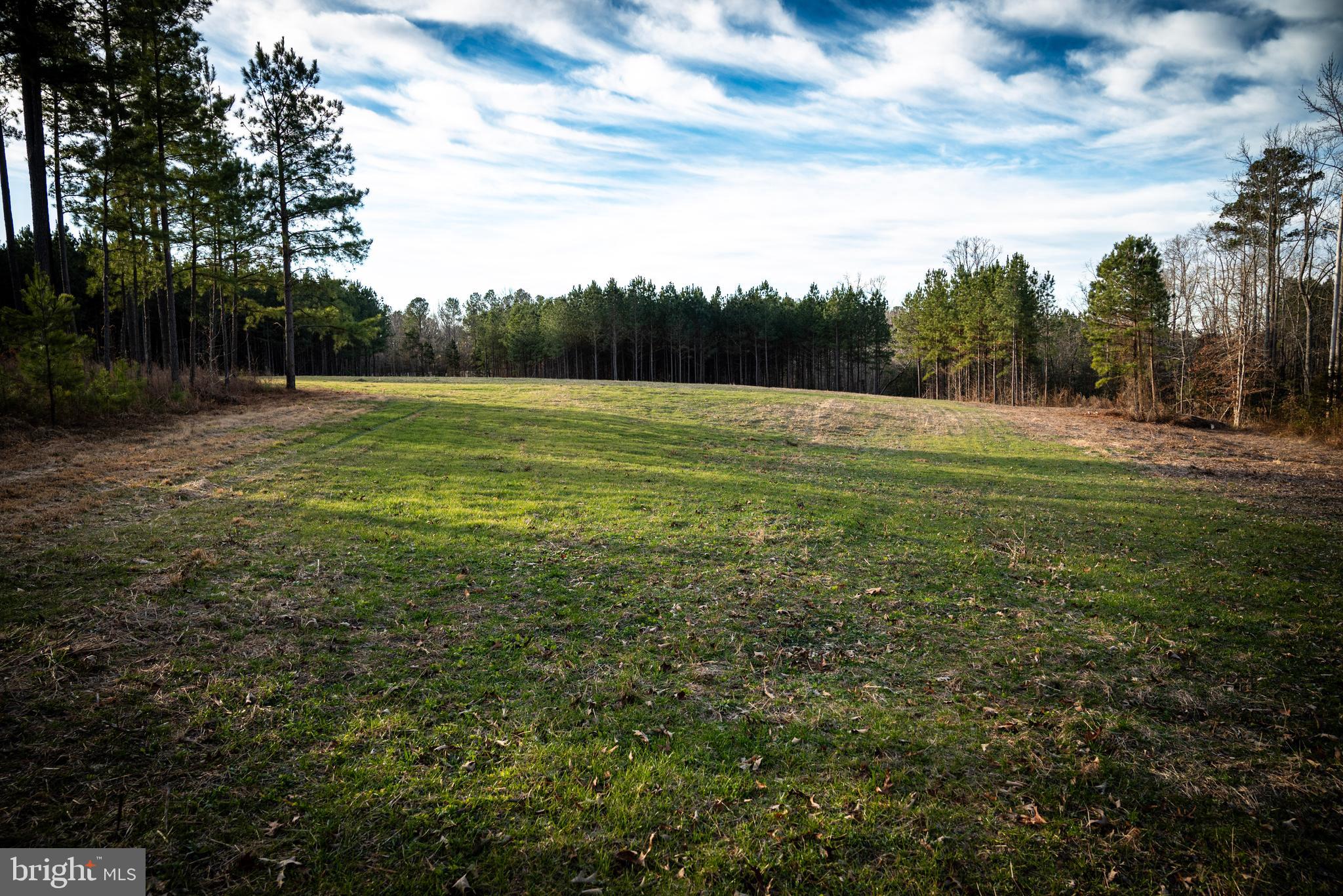 1052 South Hill Road Brodnax, VA 23920 - Photo 61 of 100 a view of outdoor space with trees all around