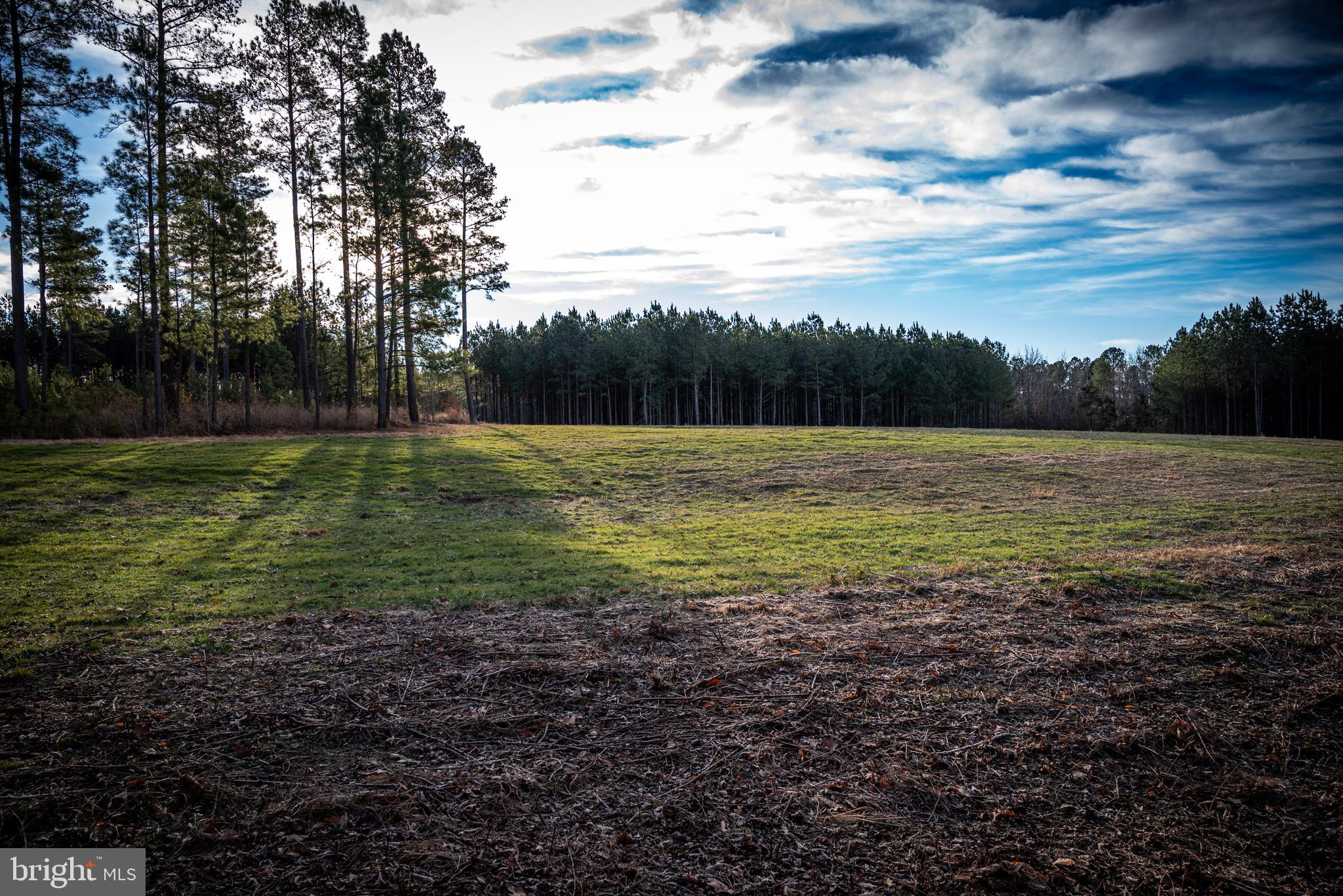 1052 South Hill Road Brodnax, VA 23920 - Photo 62 of 100