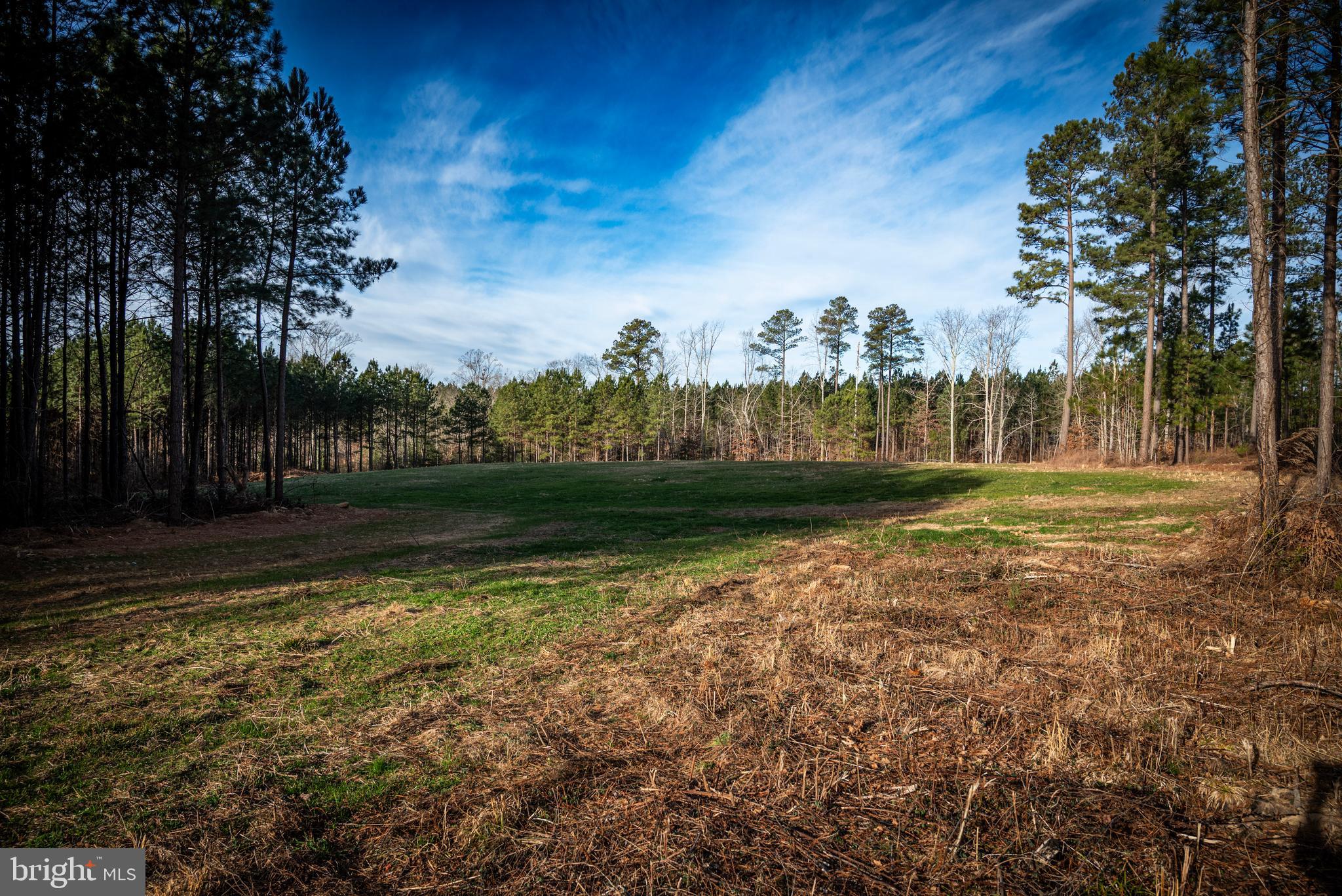 1052 South Hill Road Brodnax, VA 23920 - Photo 63 of 100 a view of swimming pool