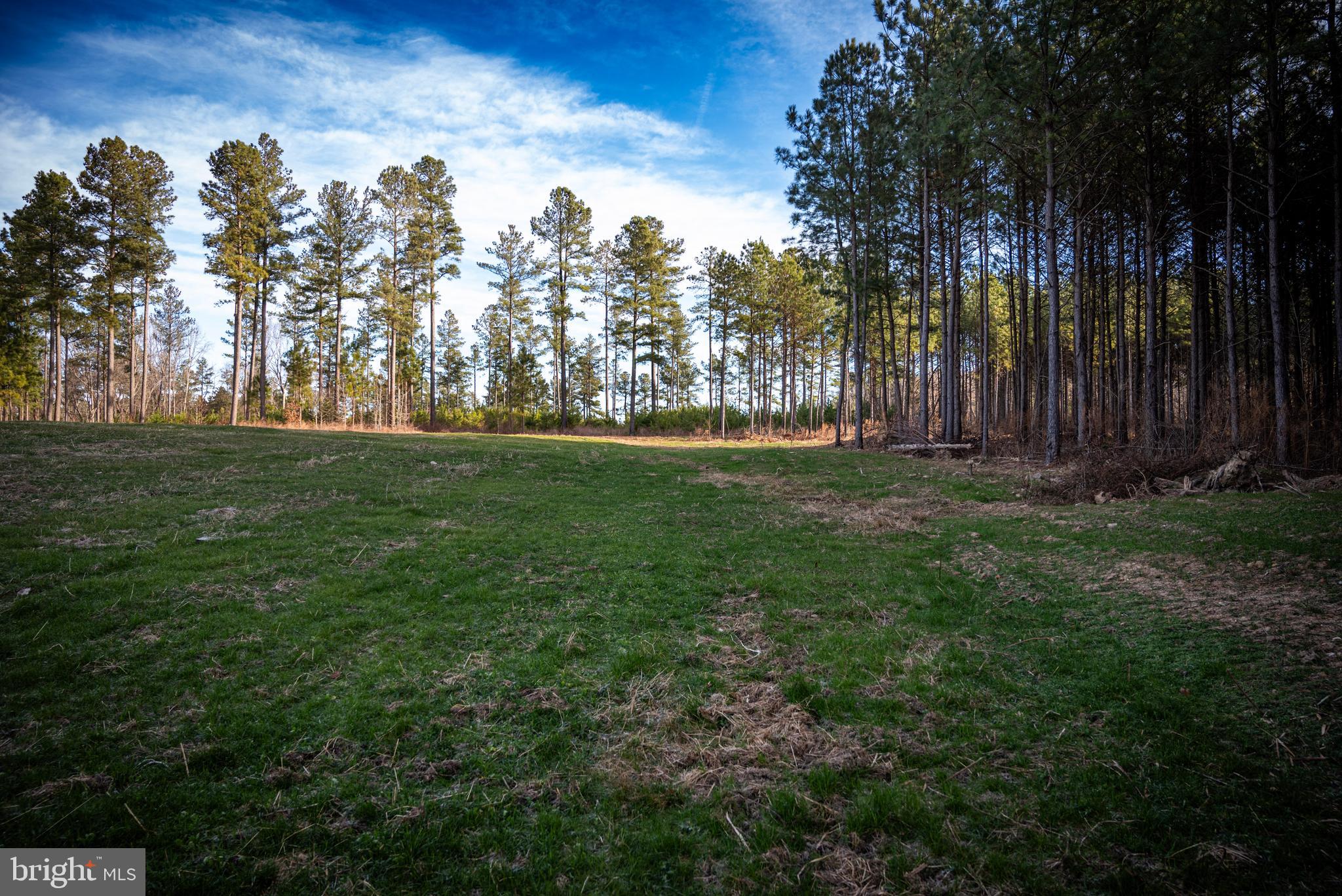 1052 South Hill Road Brodnax, VA 23920 - Photo 64 of 100
