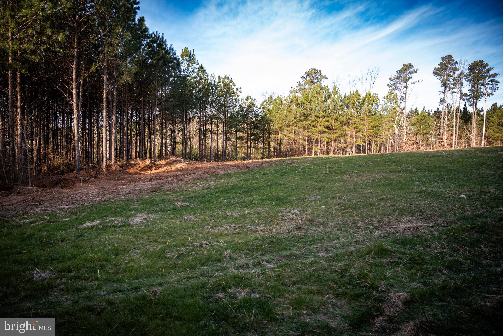 1052 South Hill Road Brodnax, VA 23920 - Photo 65 of 100 a view of a field with a tree in the background