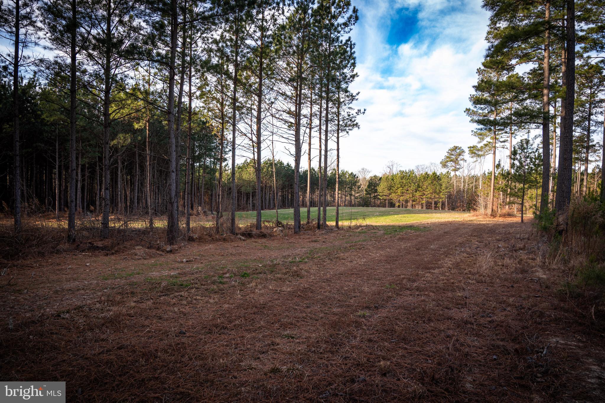 1052 South Hill Road Brodnax, VA 23920 - Photo 66 of 100 a view of outdoor space with deck and trees
