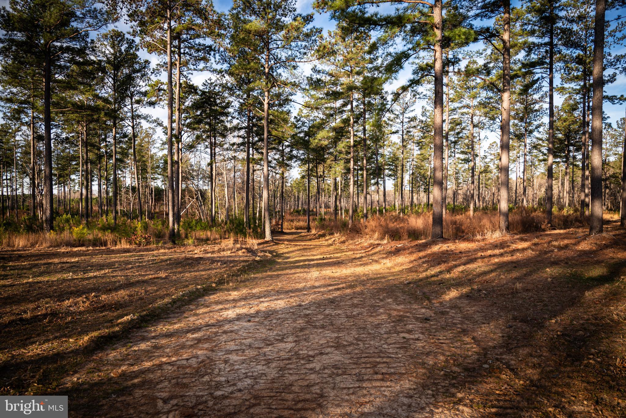 1052 South Hill Road Brodnax, VA 23920 - Photo 67 of 100