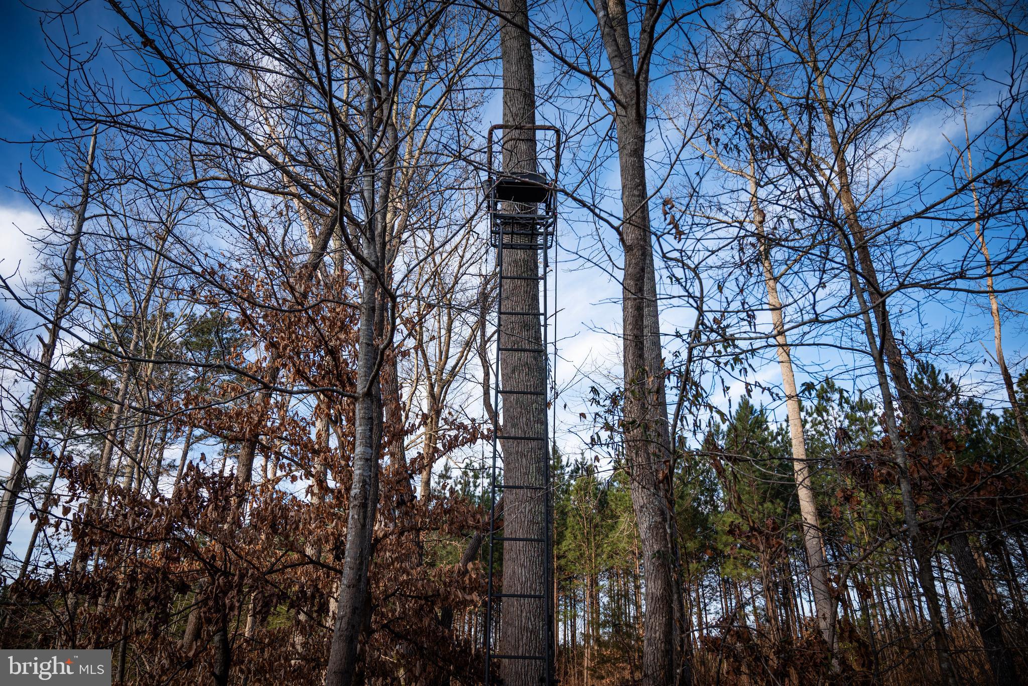 1052 South Hill Road Brodnax, VA 23920 - Photo 68 of 100