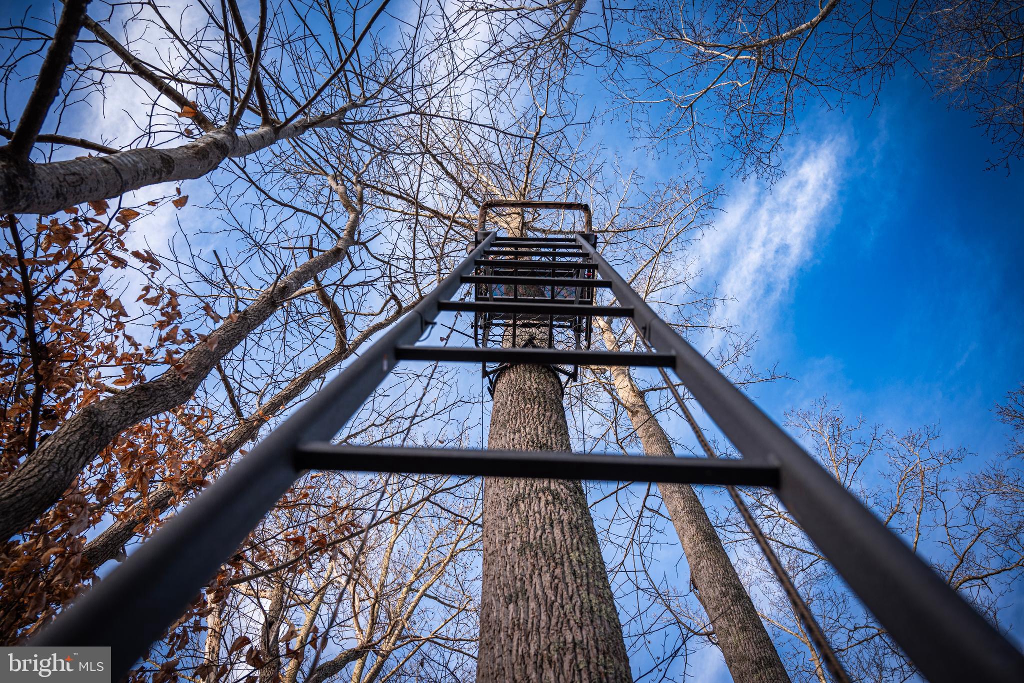 1052 South Hill Road Brodnax, VA 23920 - Photo 69 of 100