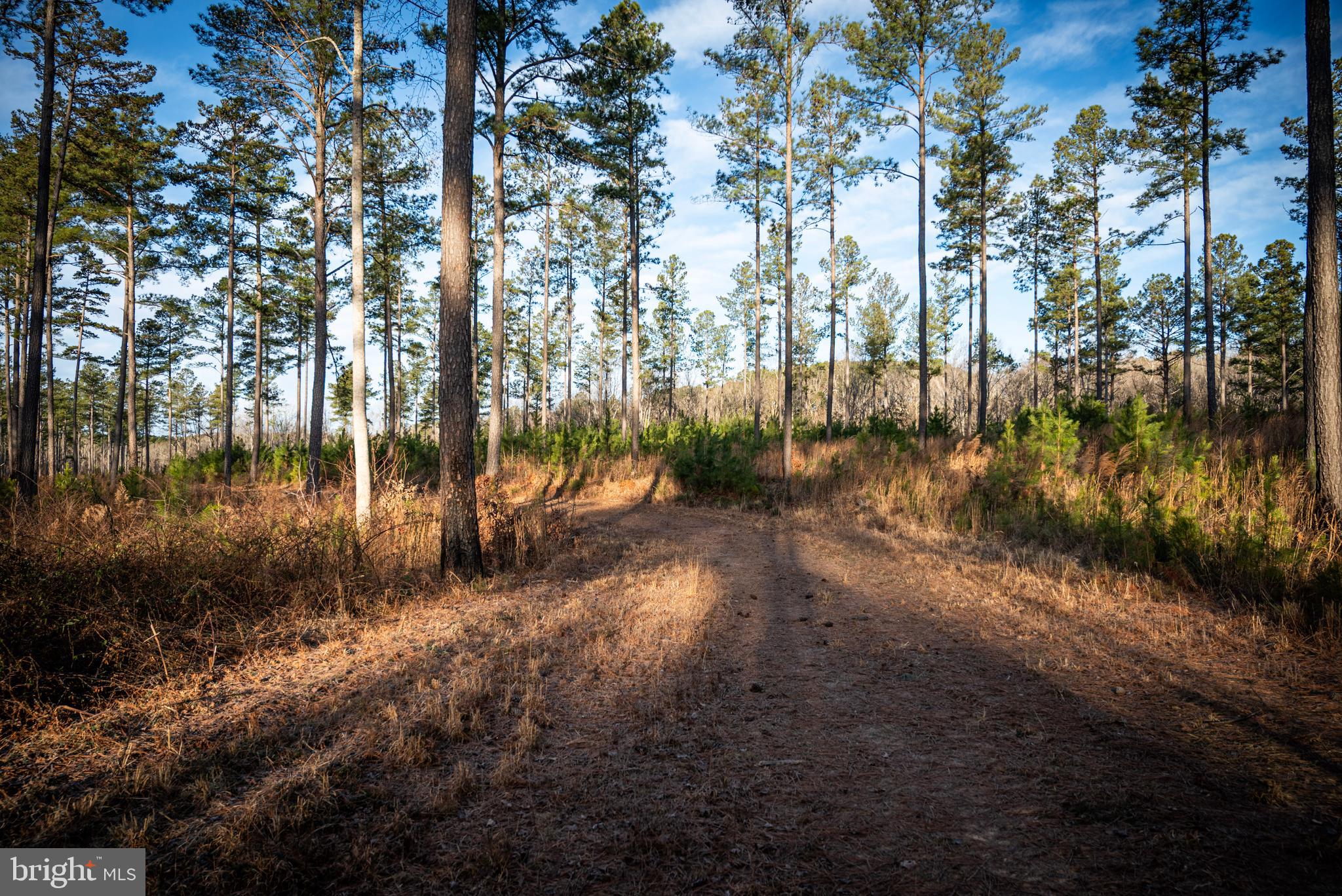 1052 South Hill Road Brodnax, VA 23920 - Photo 70 of 100