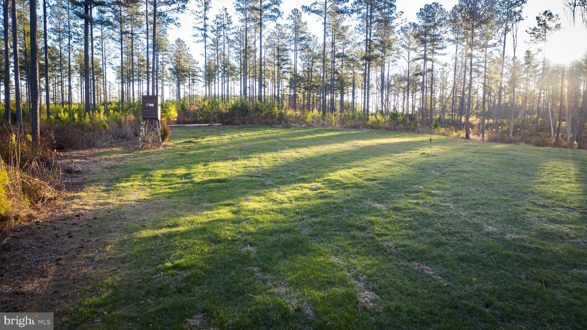 1052 South Hill Road Brodnax, VA 23920 - Photo 7 of 100 a view of a park with a large trees