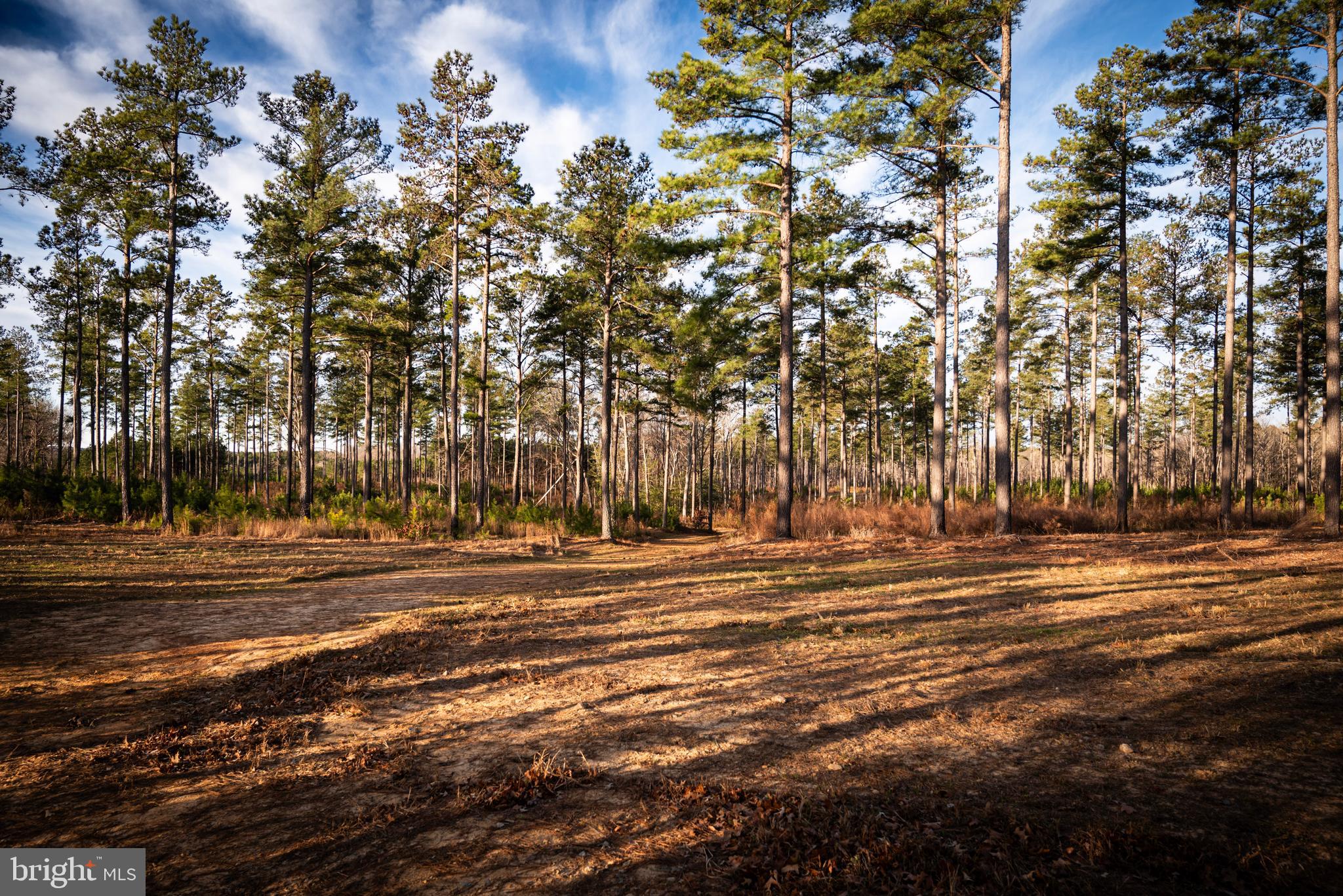 1052 South Hill Road Brodnax, VA 23920 - Photo 72 of 100