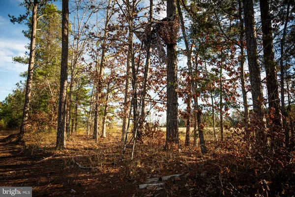 $999,000 | 1052 South Hill Road, Brodnax, VA 23920