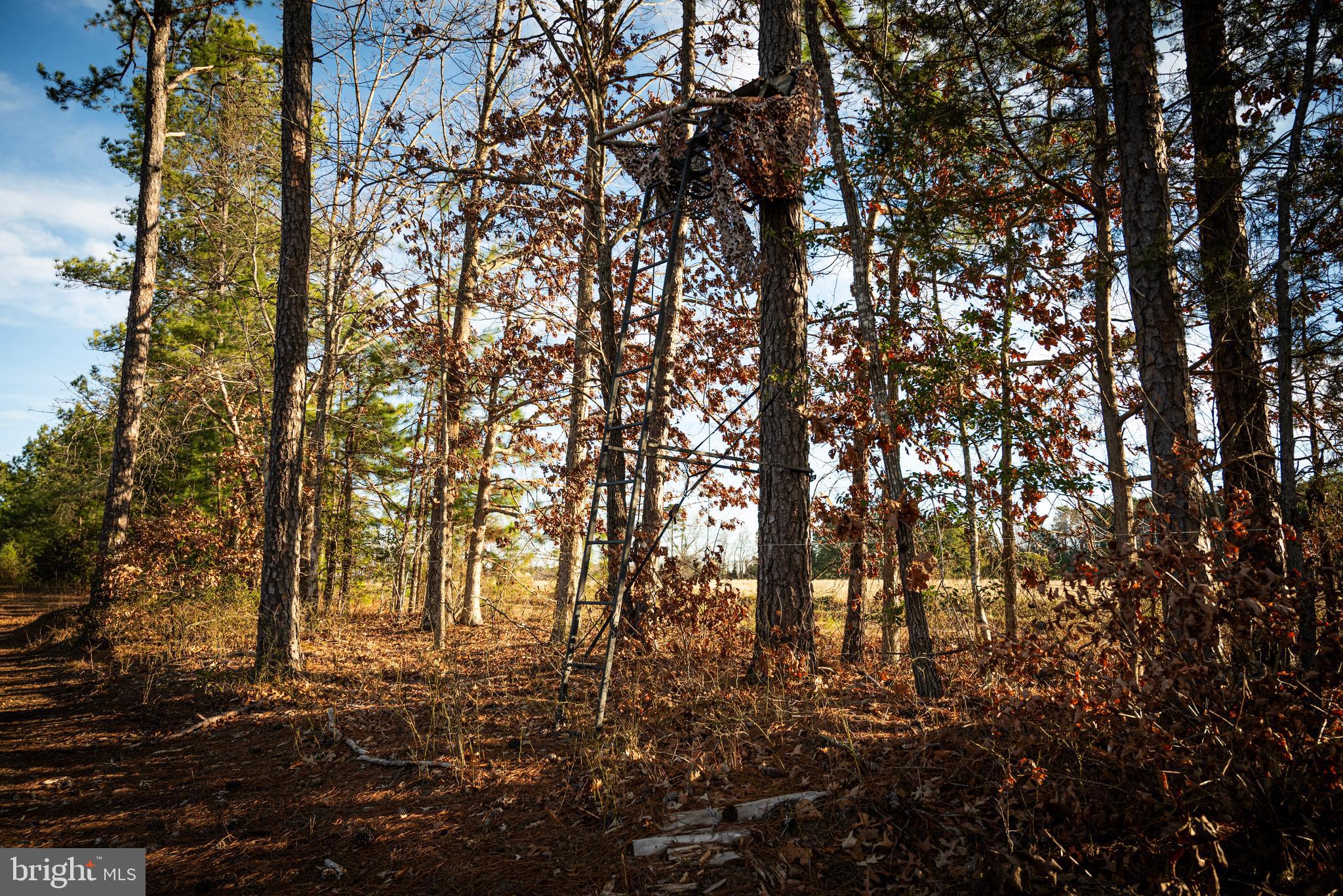 1052 South Hill Road Brodnax, VA 23920 - Photo 73 of 100