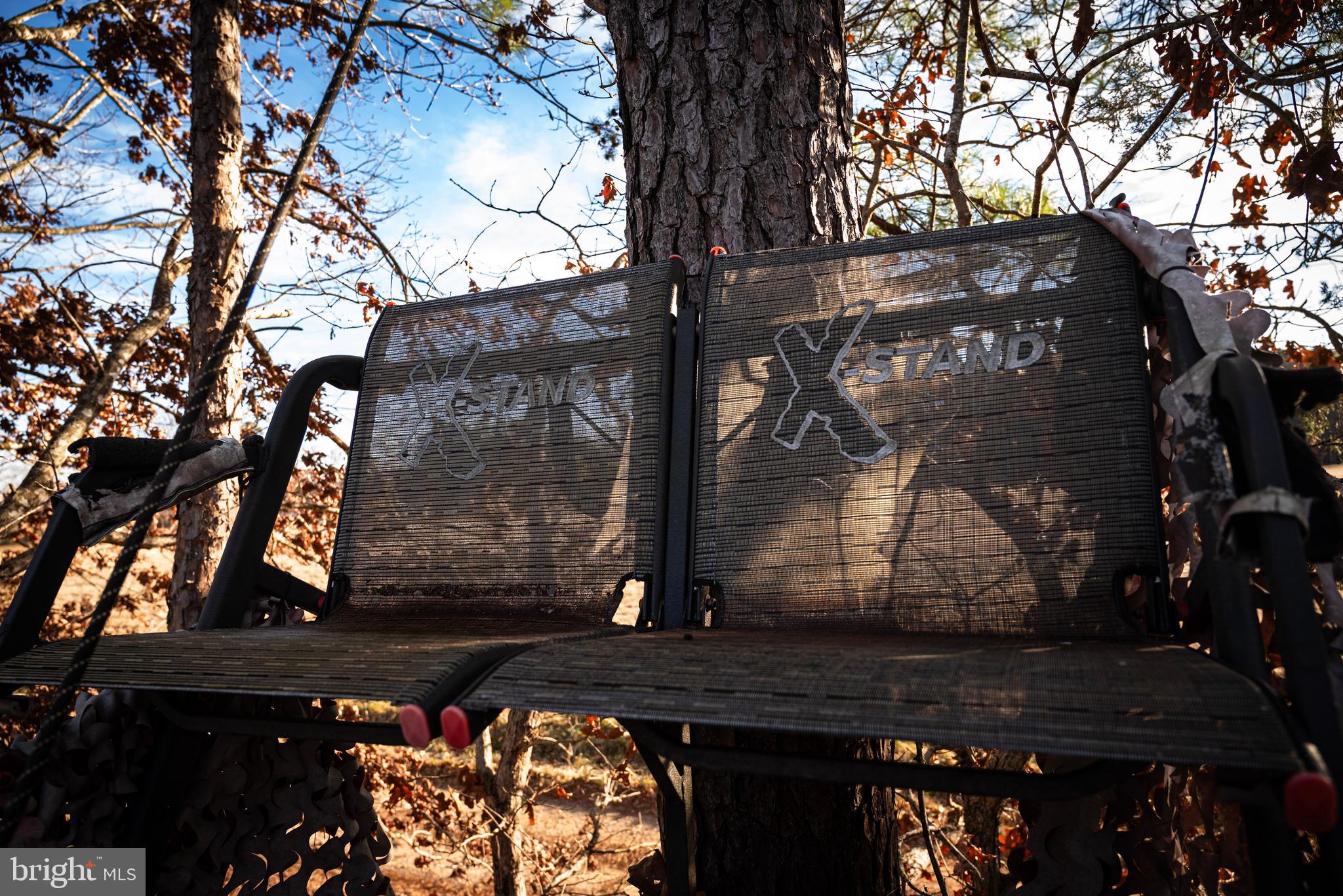 1052 South Hill Road Brodnax, VA 23920 - Photo 74 of 100 a view of a tree with an outdoor space