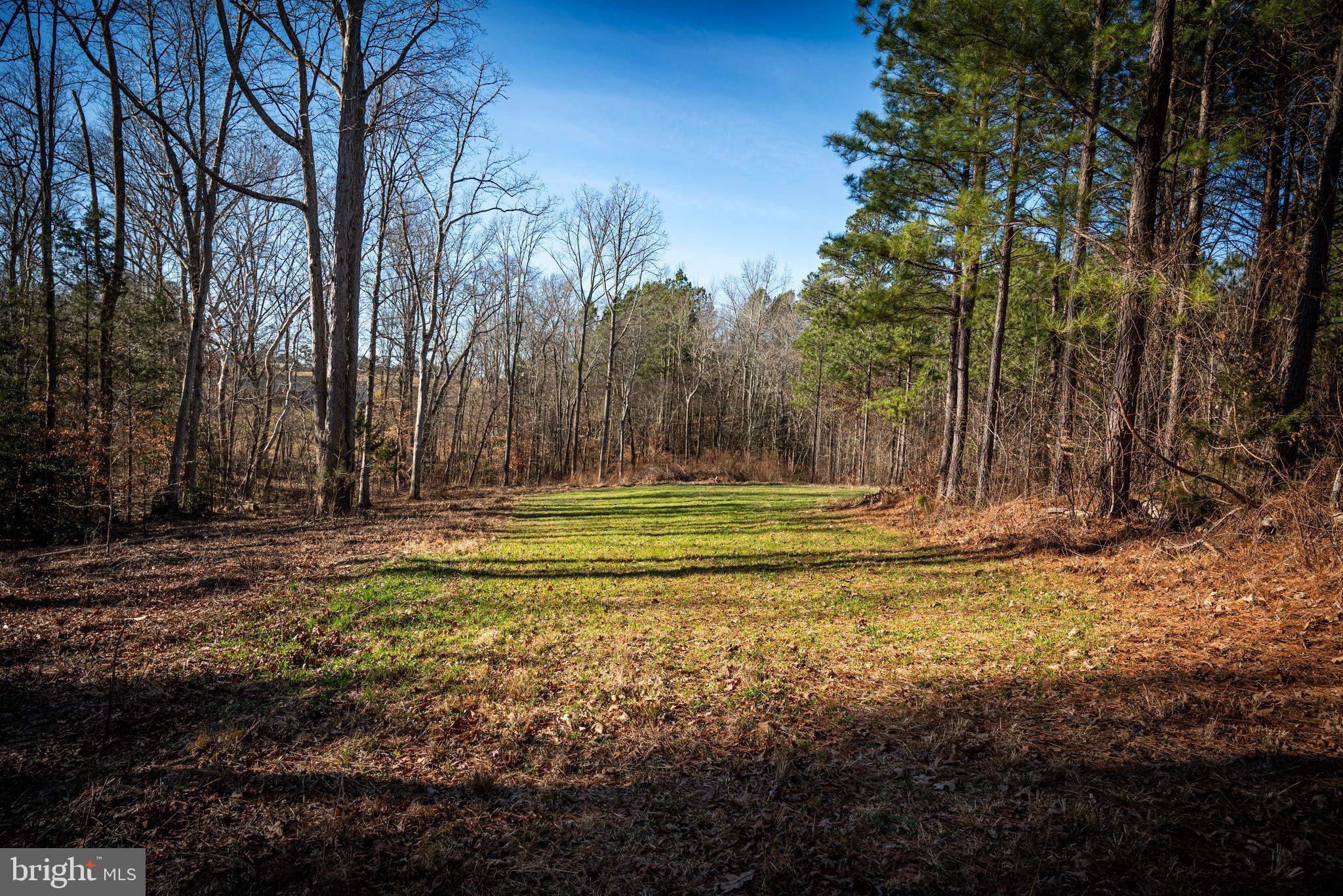 1052 South Hill Road Brodnax, VA 23920 - Photo 75 of 100 a view of a house with a yard