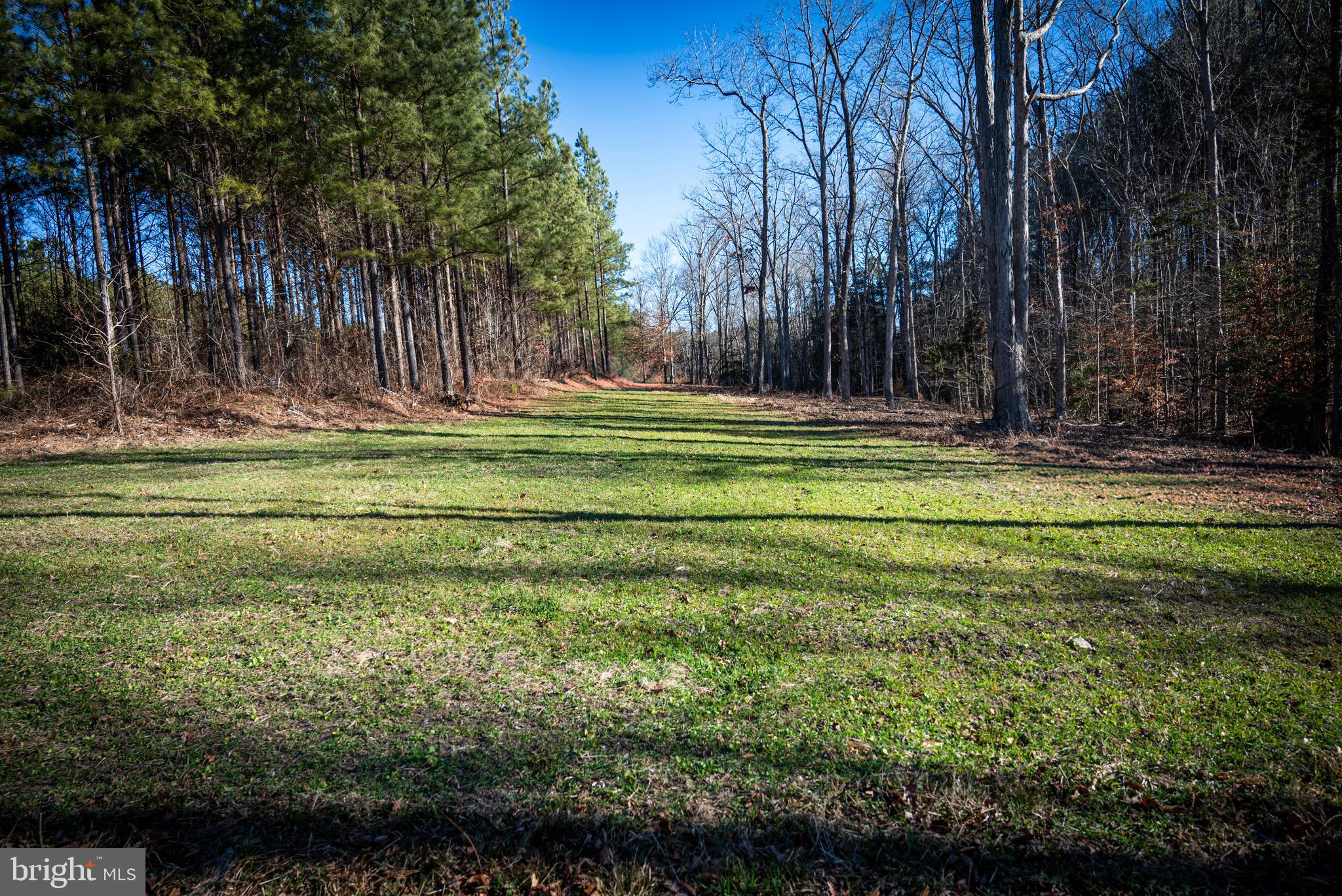 1052 South Hill Road Brodnax, VA 23920 - Photo 76 of 100