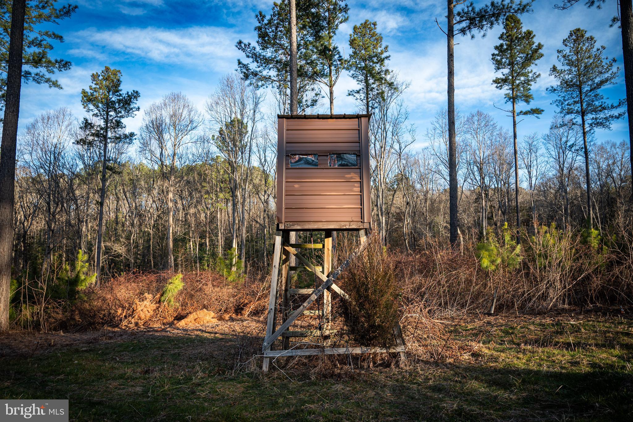 1052 South Hill Road Brodnax, VA 23920 - Photo 8 of 100 a view of a backyard of the house