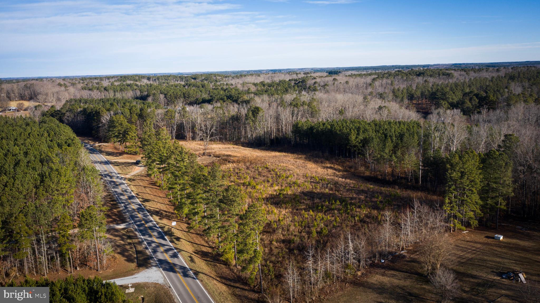 1052 South Hill Road Brodnax, VA 23920 - Photo 81 of 100 a view of a bunch of trees and bushes