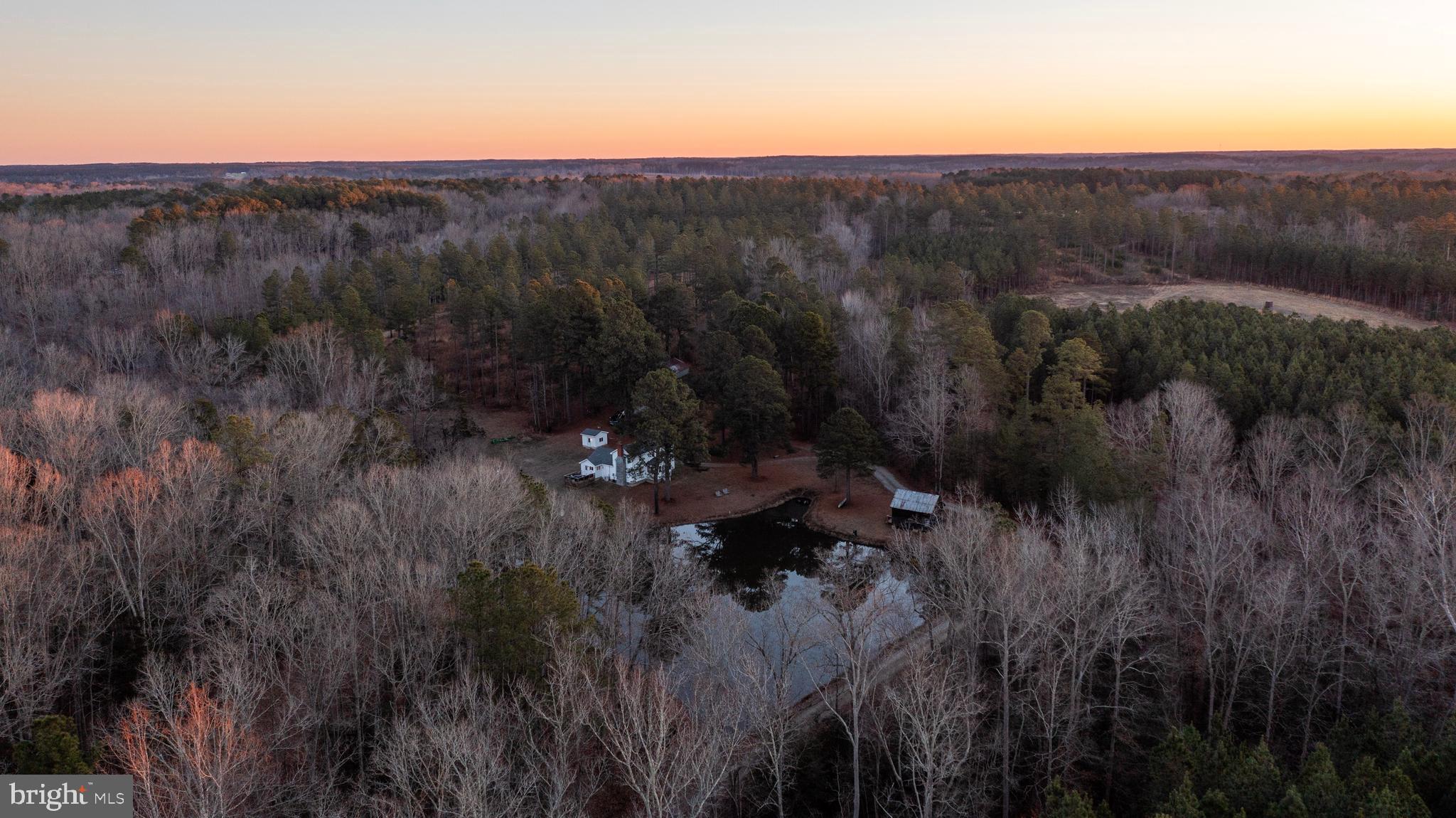 1052 South Hill Road Brodnax, VA 23920 - Photo 86 of 100 a view of a lush green forest with lots of trees