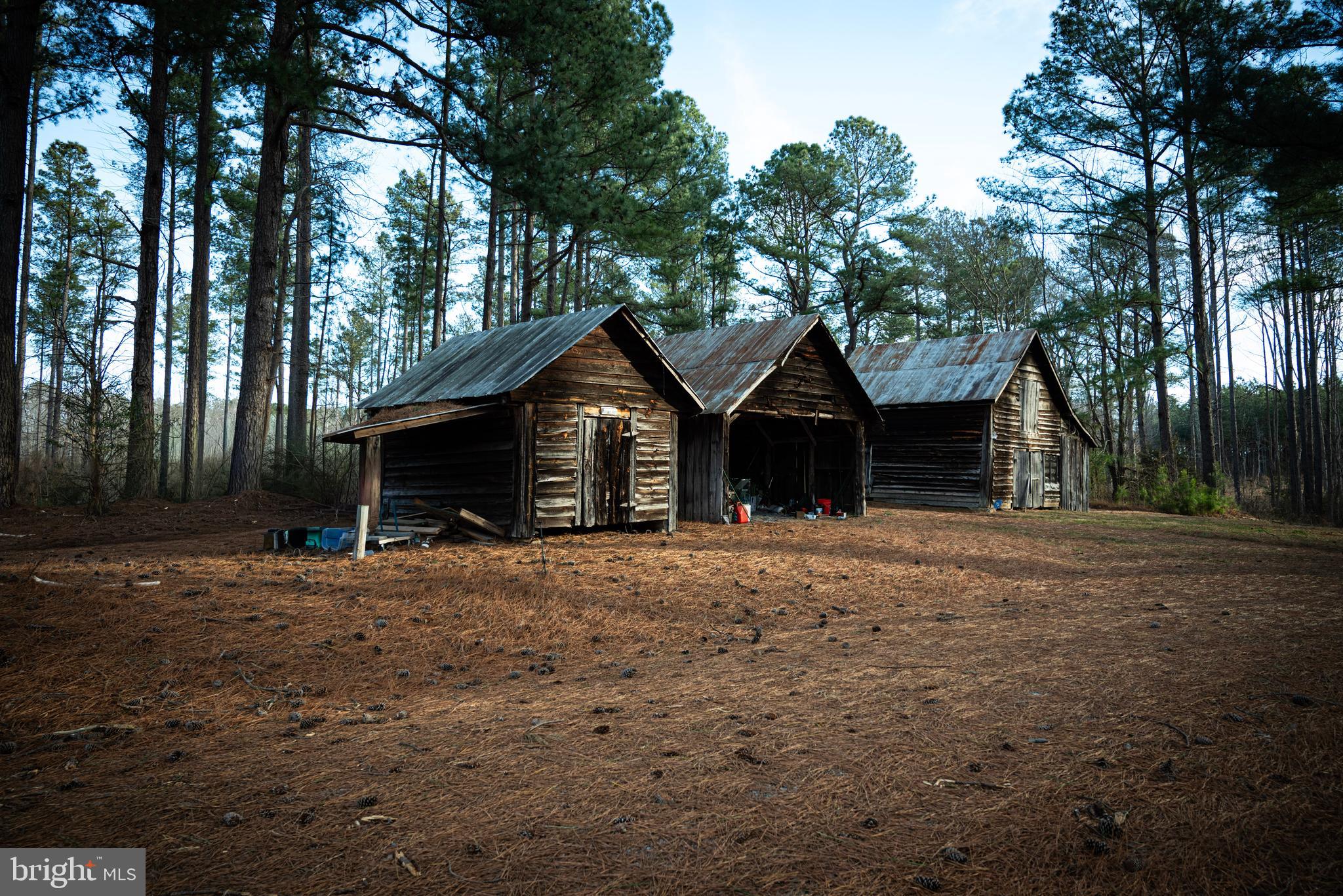 1052 South Hill Road Brodnax, VA 23920 - Photo 90 of 100 a front view of a house with yard and tree