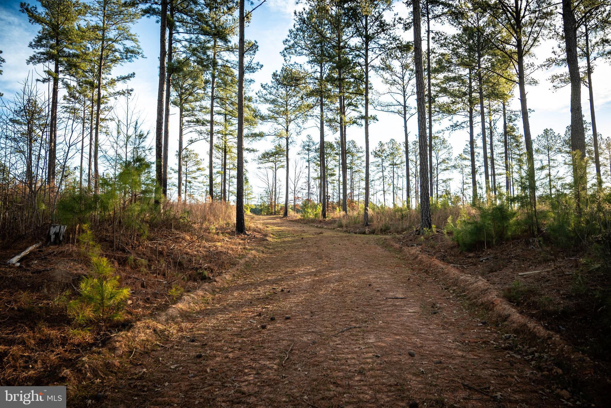 1052 South Hill Road Brodnax, VA 23920 - Photo 9 of 100 a view of outdoor space with deck and tree