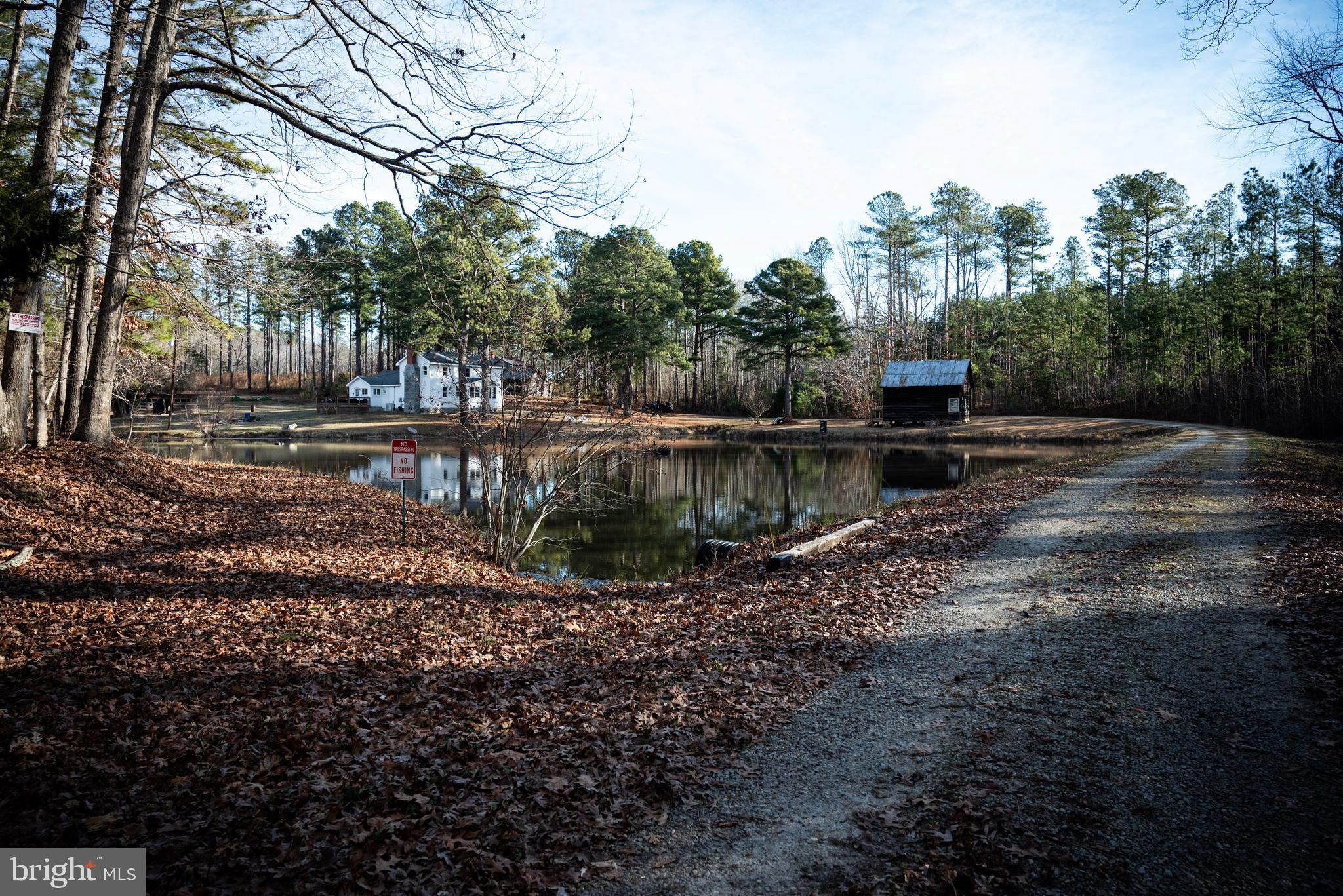 1052 South Hill Road Brodnax, VA 23920 - Photo 98 of 100 a view of a yard with lots of green space and trees