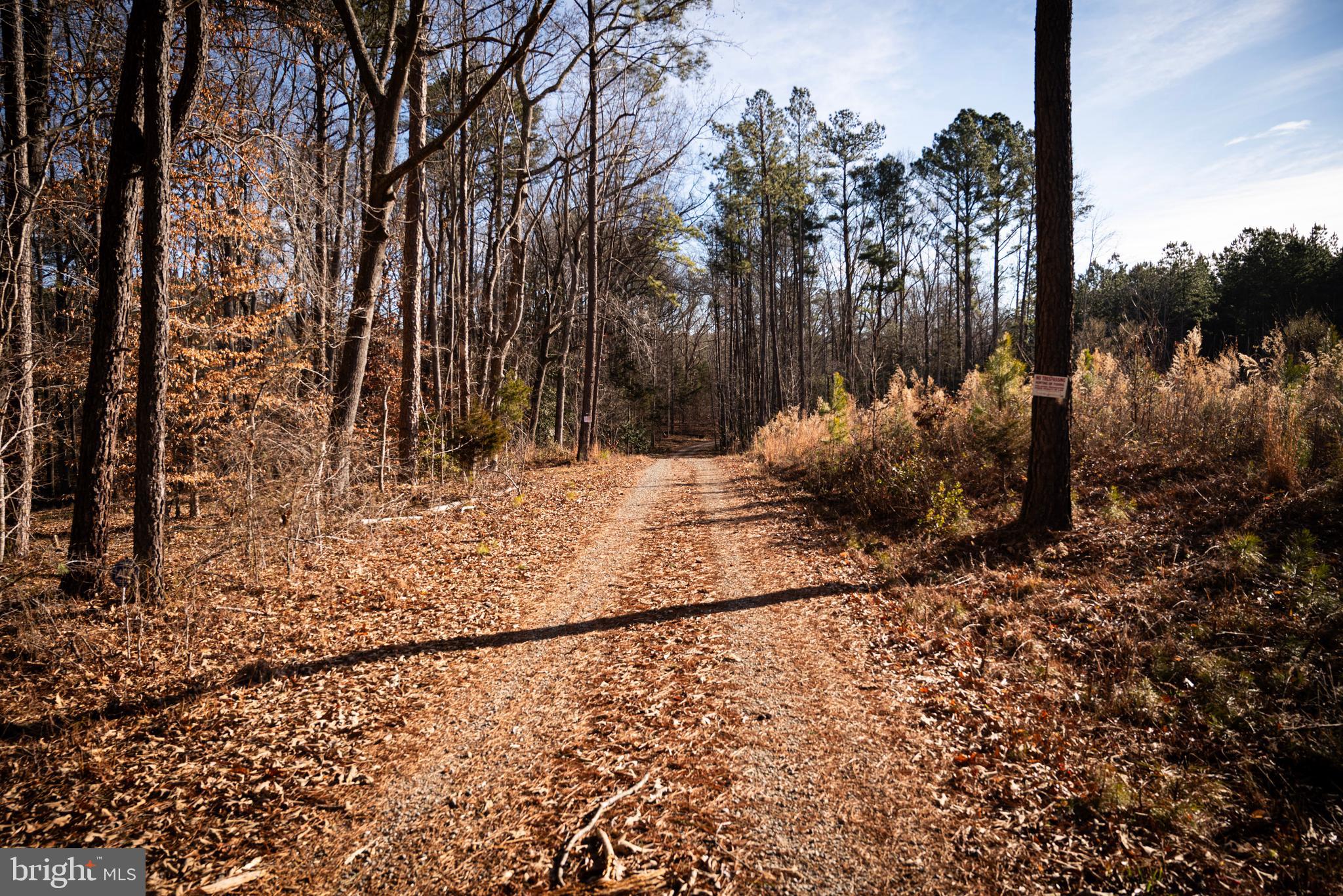 1052 South Hill Road Brodnax, VA 23920 - Photo 100 of 100 a backyard of a house with lots of green space