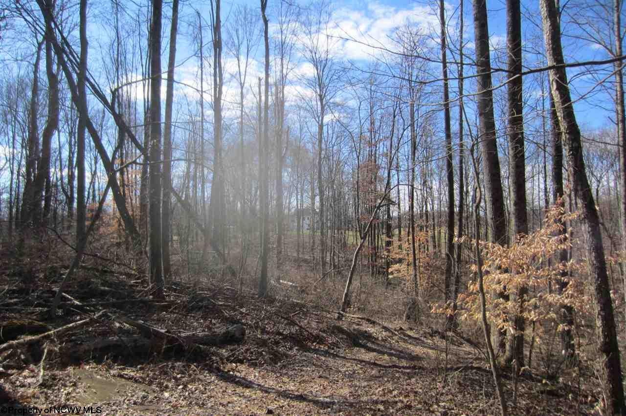 Tbd Sandy Holw Road Bridgeport, WV 26330 - Photo 10 of 20 Gallery Image 10