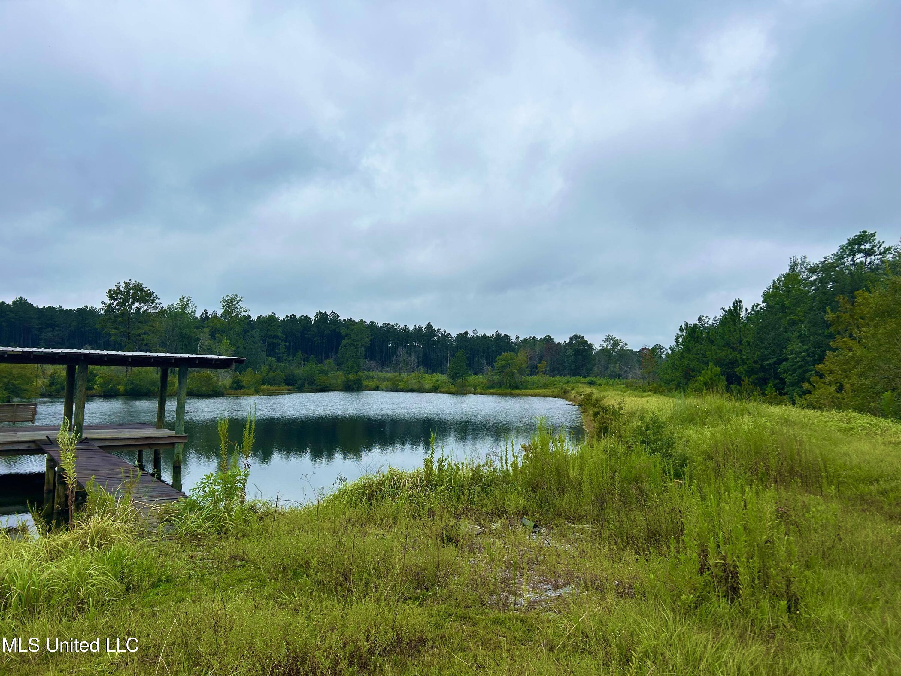 0 Campground Road Vancleave, MS 39565 - Photo 12 of 25 IMG_1030