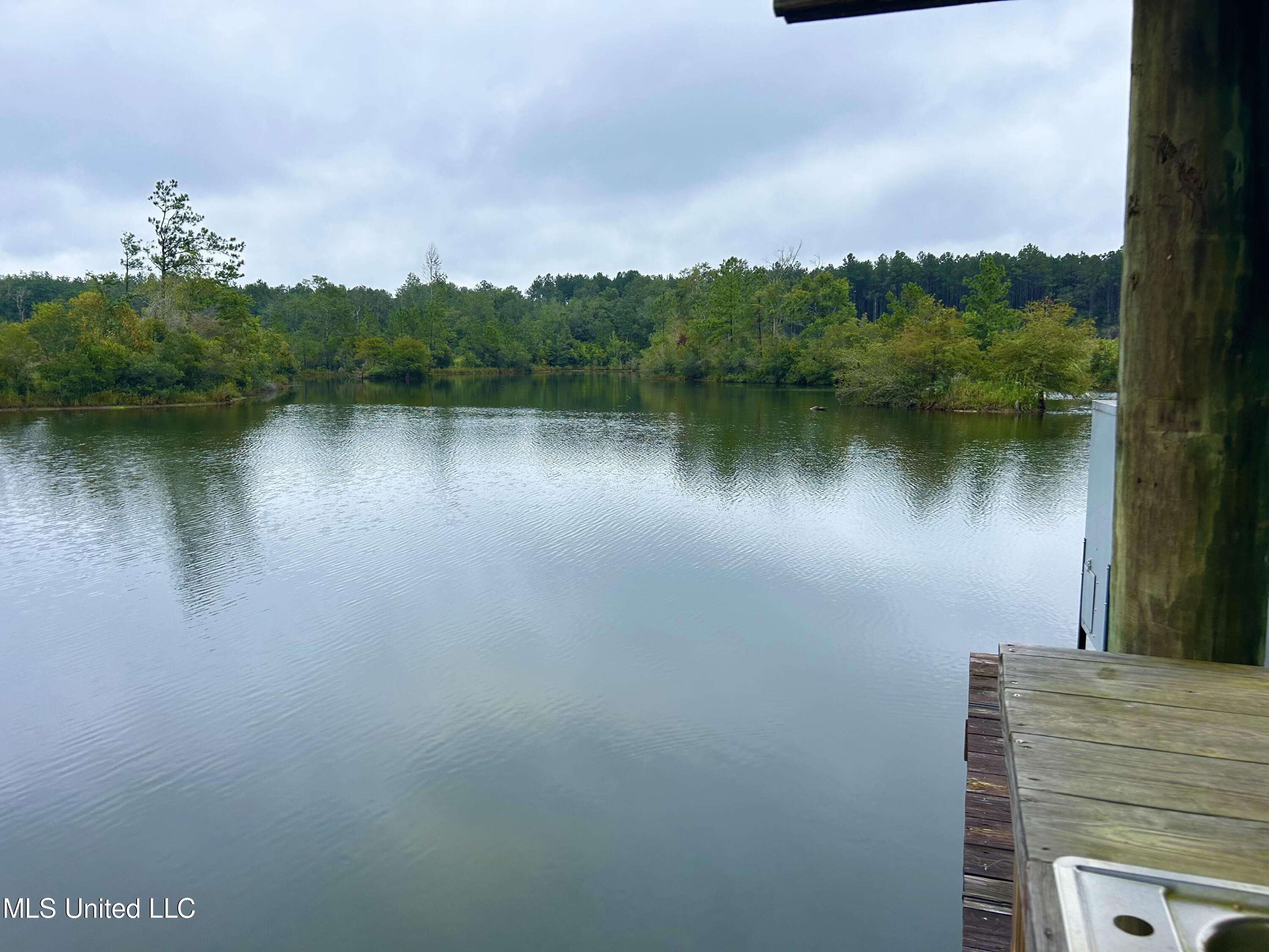 0 Campground Road Vancleave, MS 39565 - Photo 13 of 25 IMG_1031