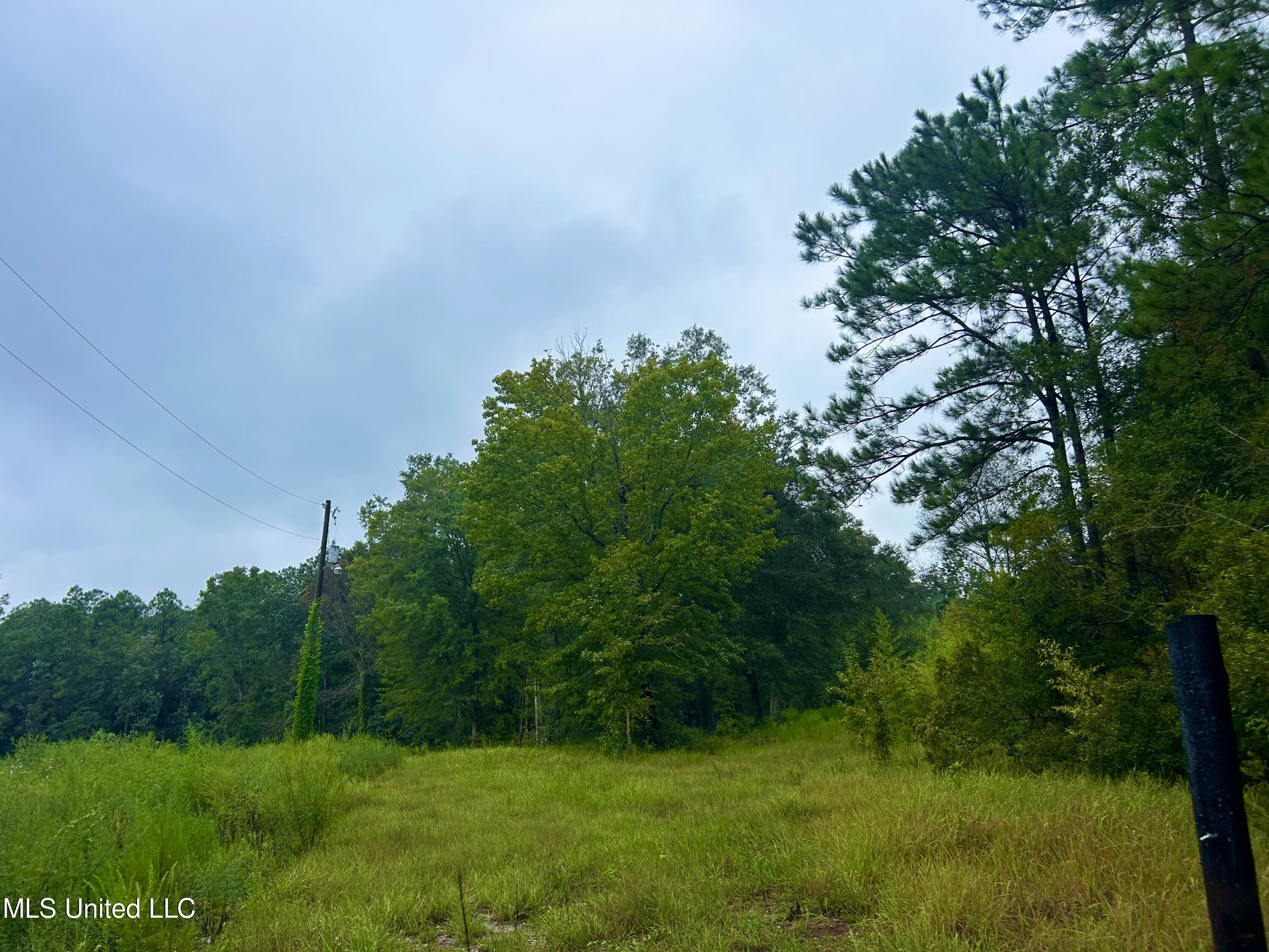 0 Campground Road Vancleave, MS 39565 - Photo 19 of 25 IMG_1026