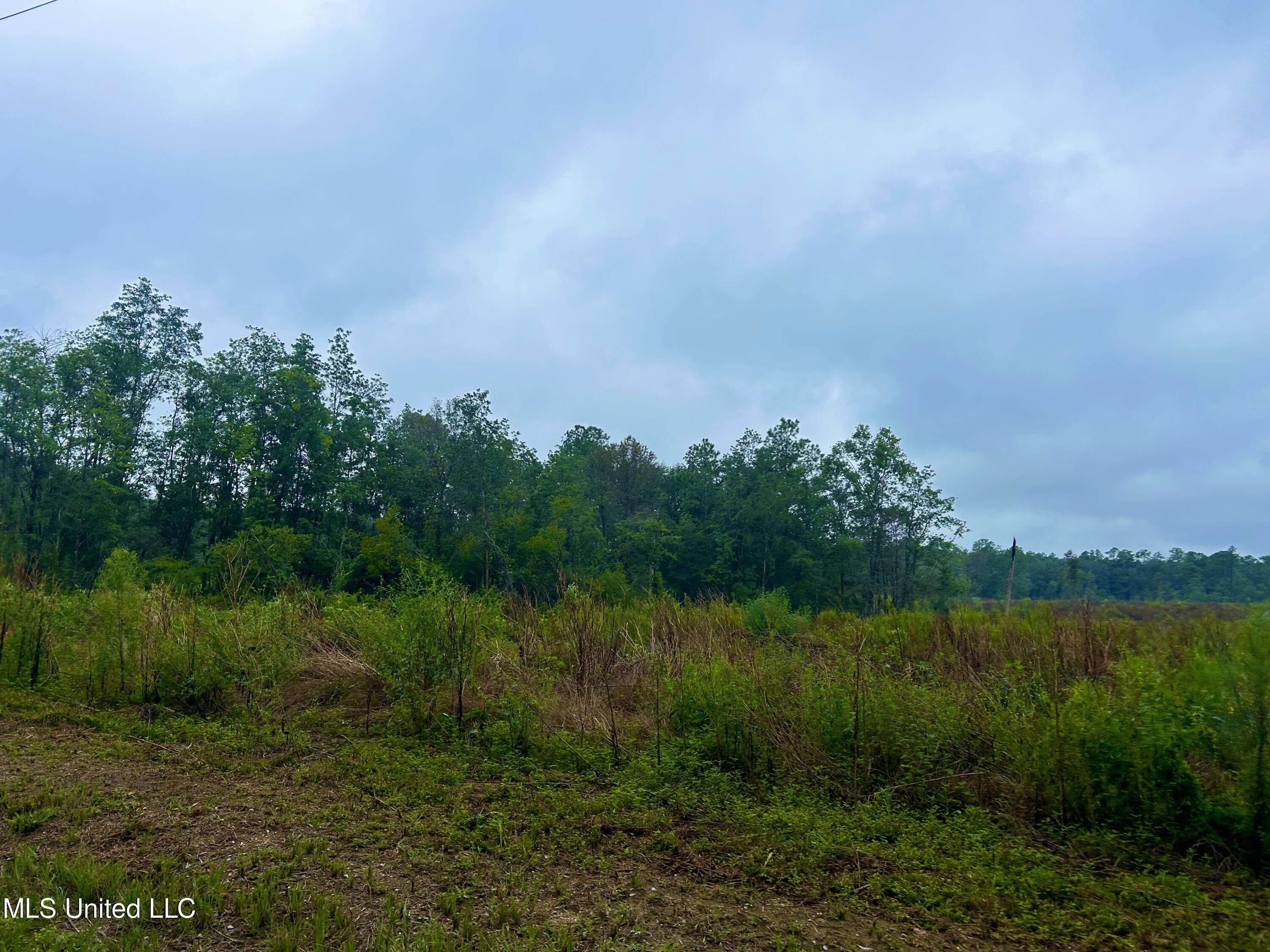 0 Campground Road Vancleave, MS 39565 - Photo 23 of 25 IMG_1022