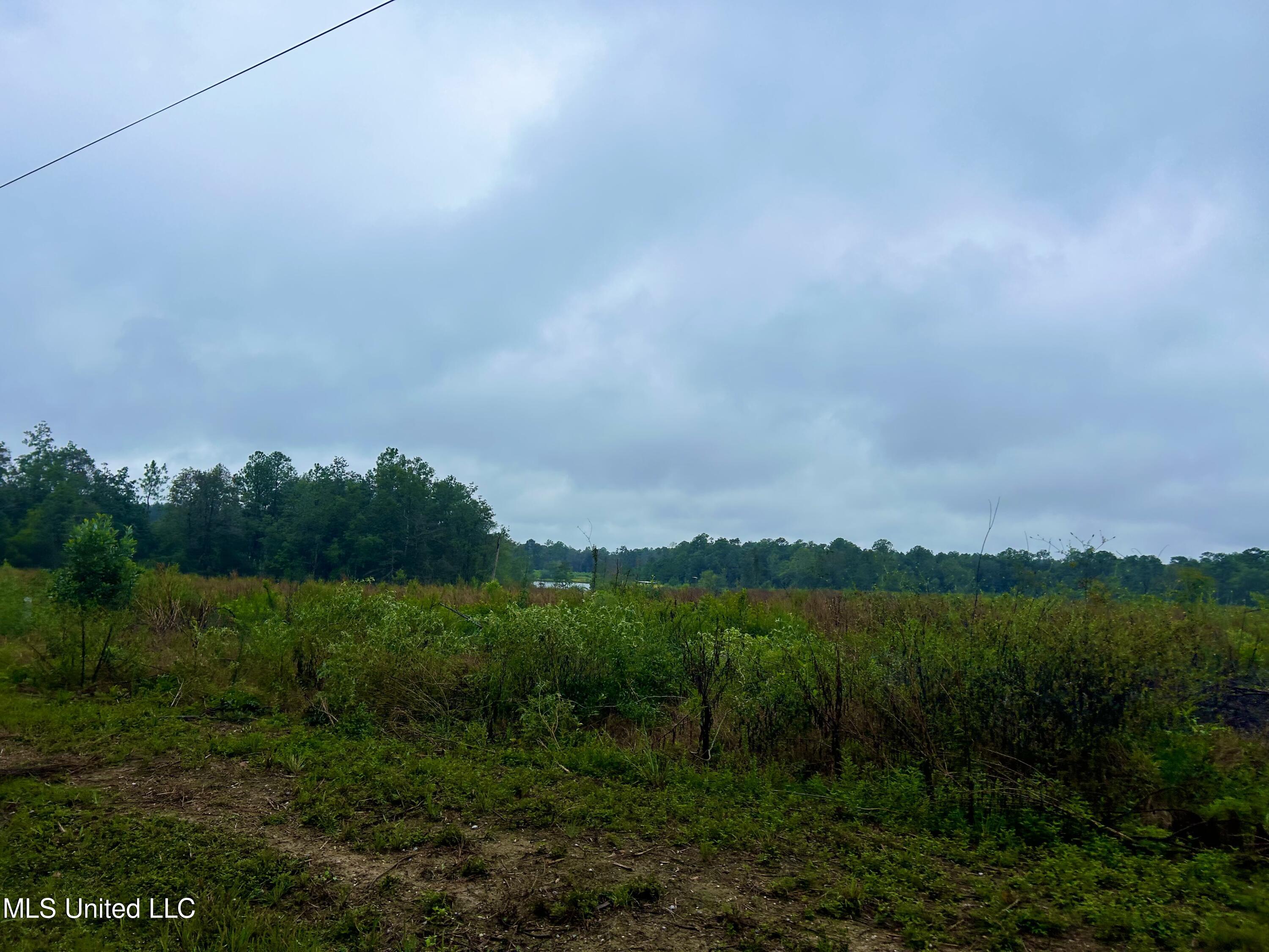 0 Campground Road Vancleave, MS 39565 - Photo 24 of 25 IMG_1023