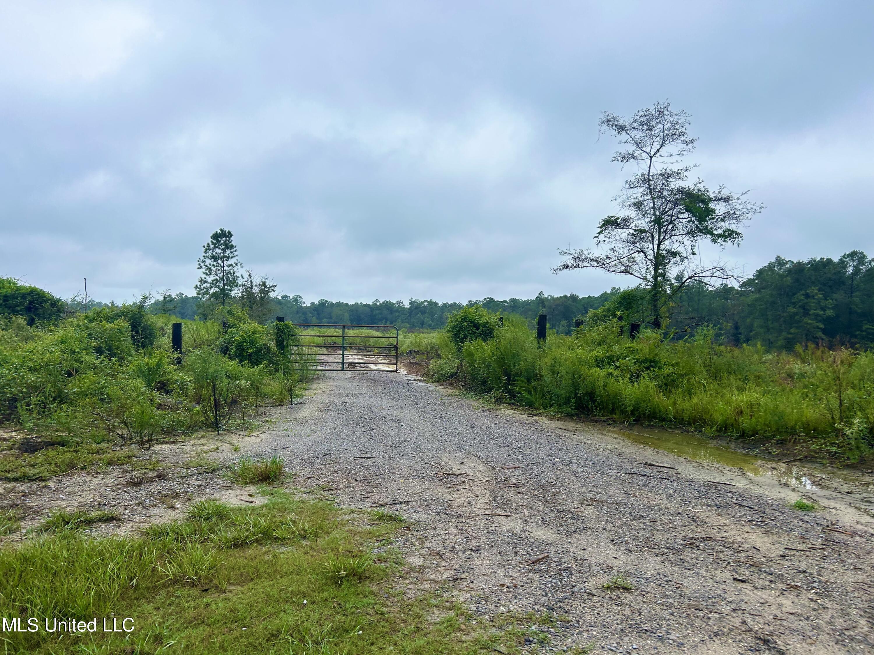 0 Campground Road Vancleave, MS 39565 - Photo 25 of 25 IMG_1024