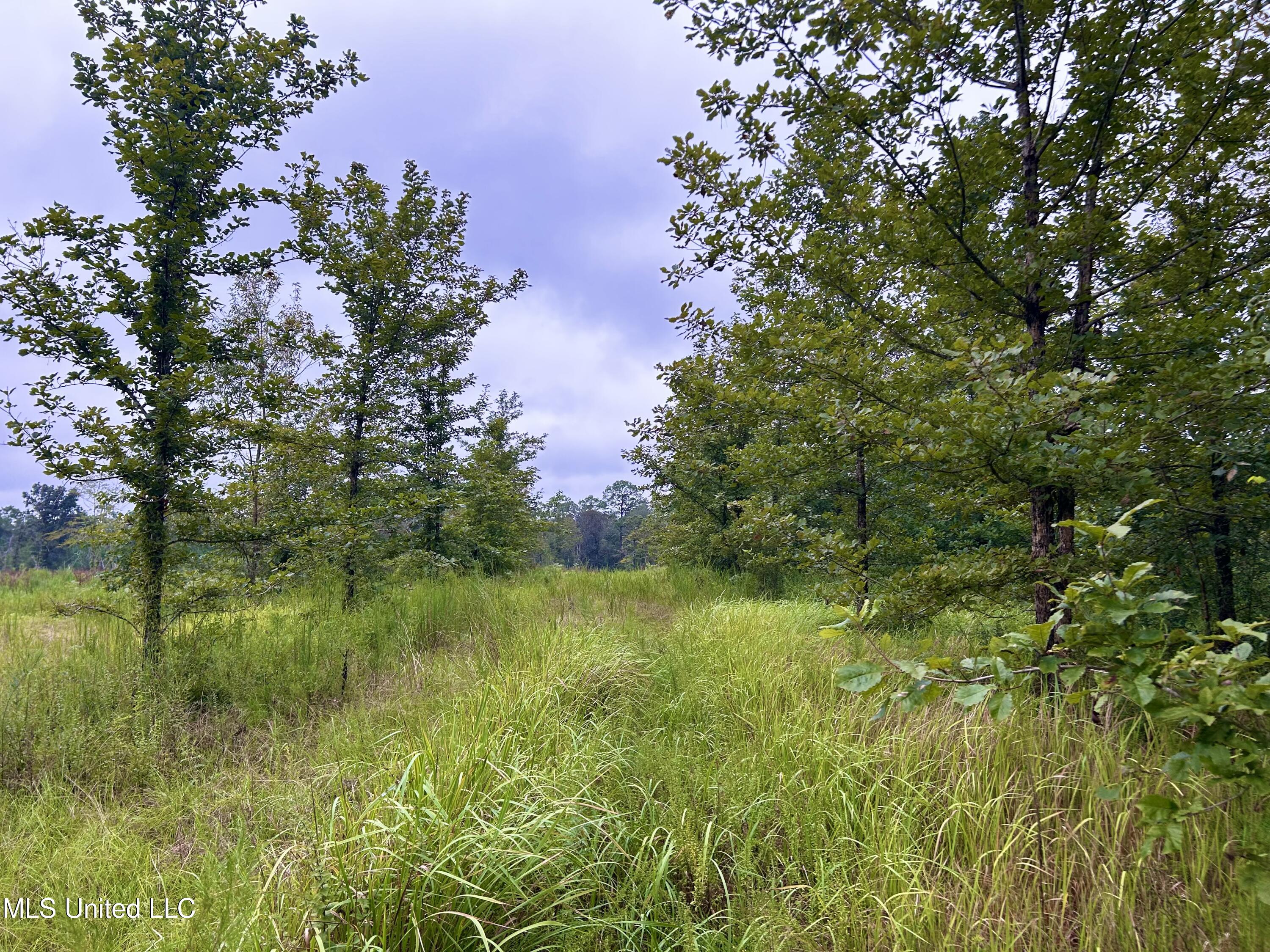 0 Campground Road Vancleave, MS 39565 - Photo 3 of 25 IMG_1043