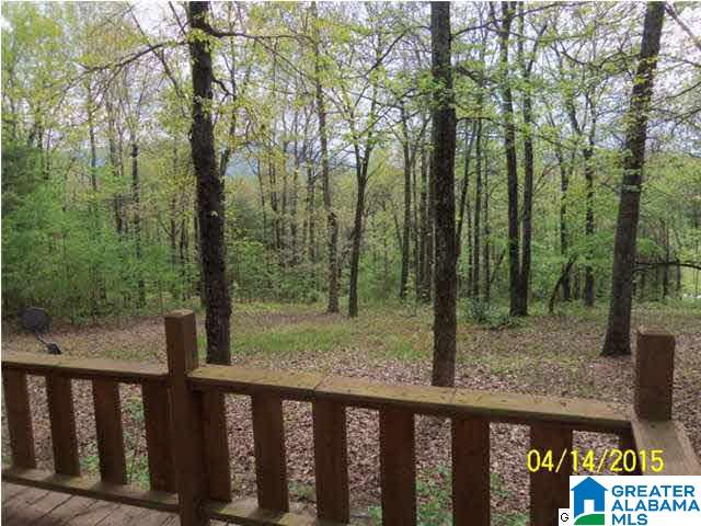 1350 Philadelphia Road Piedmont, AL 36272 - Photo 3 of 23