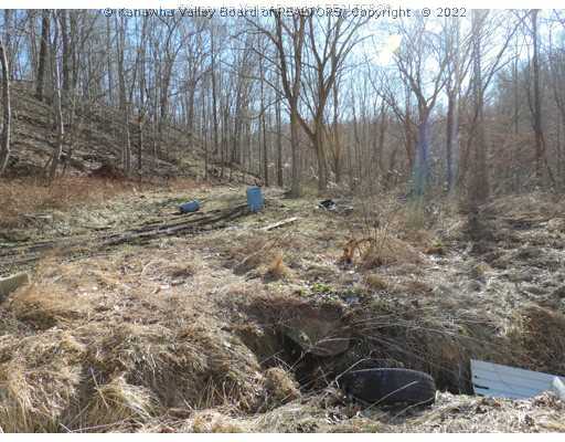 0 Gobble Road Sod, WV 25564 - Photo 2 of 2 Exterior Front.