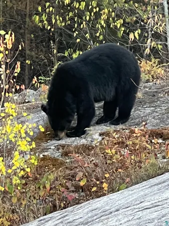 $595,000 | 15 Blankenburg Lane, Grand Marais, MN 55604