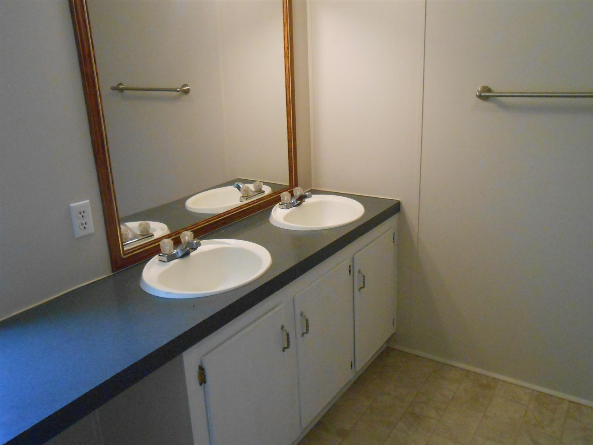 1225 Mt Vernon Road Bethpage, TN 37022 - Photo 11 of 15 a bathroom with a sink and a mirror