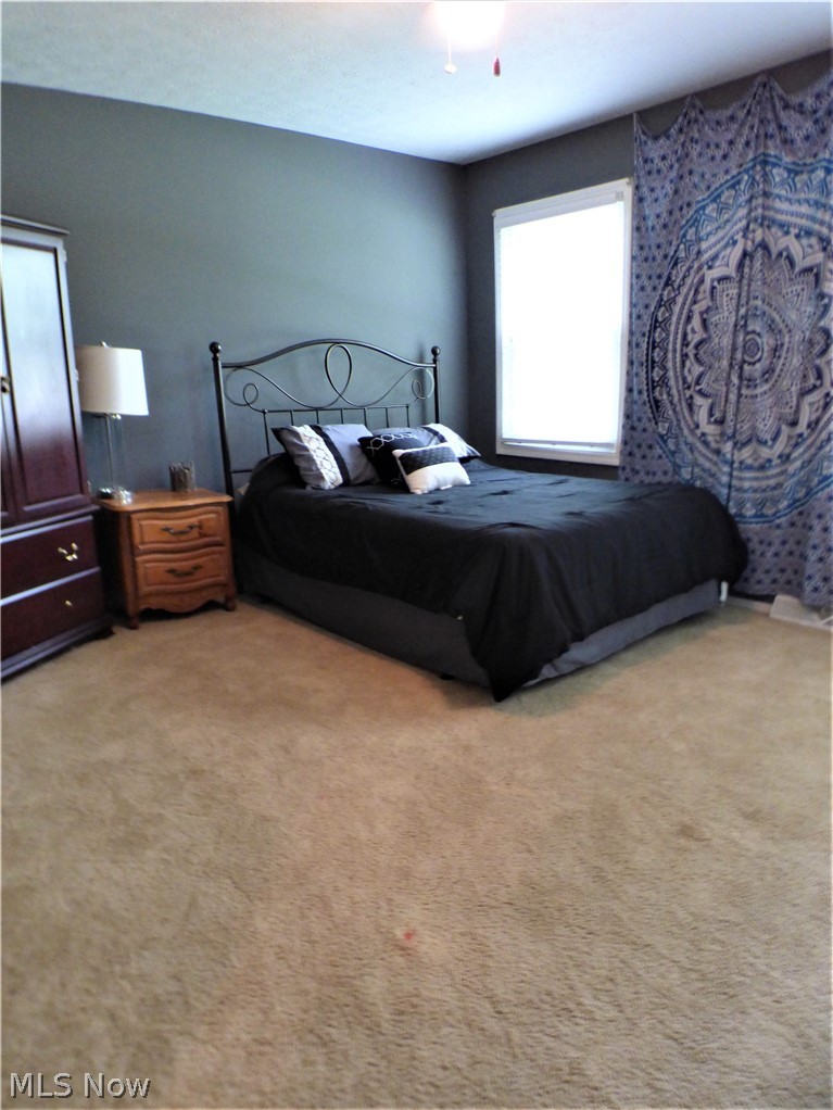 365 Park Road Painesville, OH 44077 - Photo 15 of 17 Gallery Image 15