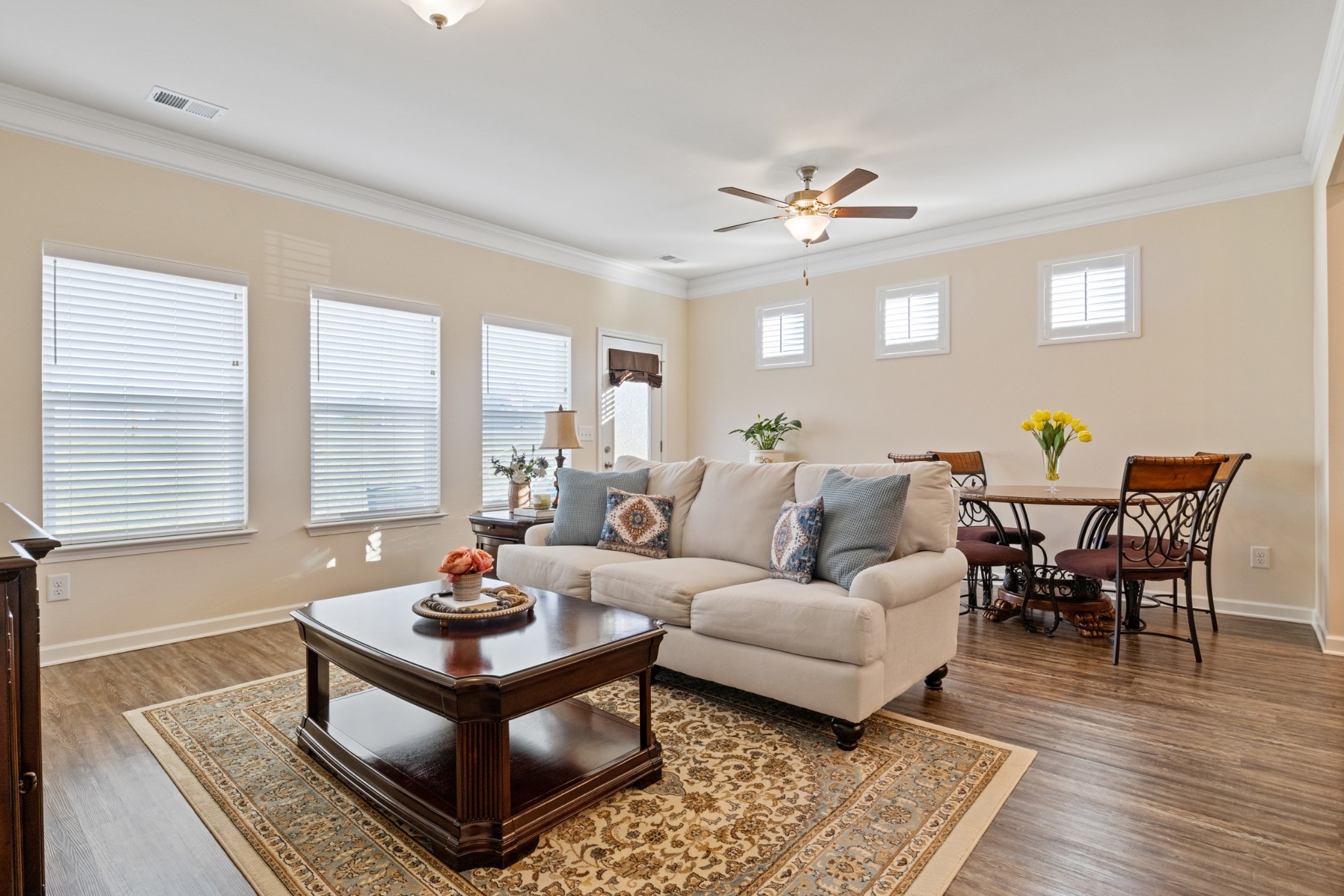 a living room with furniture potted plant and a window