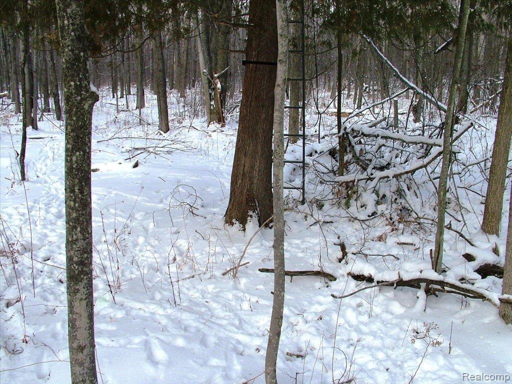 0 Frankford Road Caro, MI 48723 - Photo 3 of 10 DSCF3688