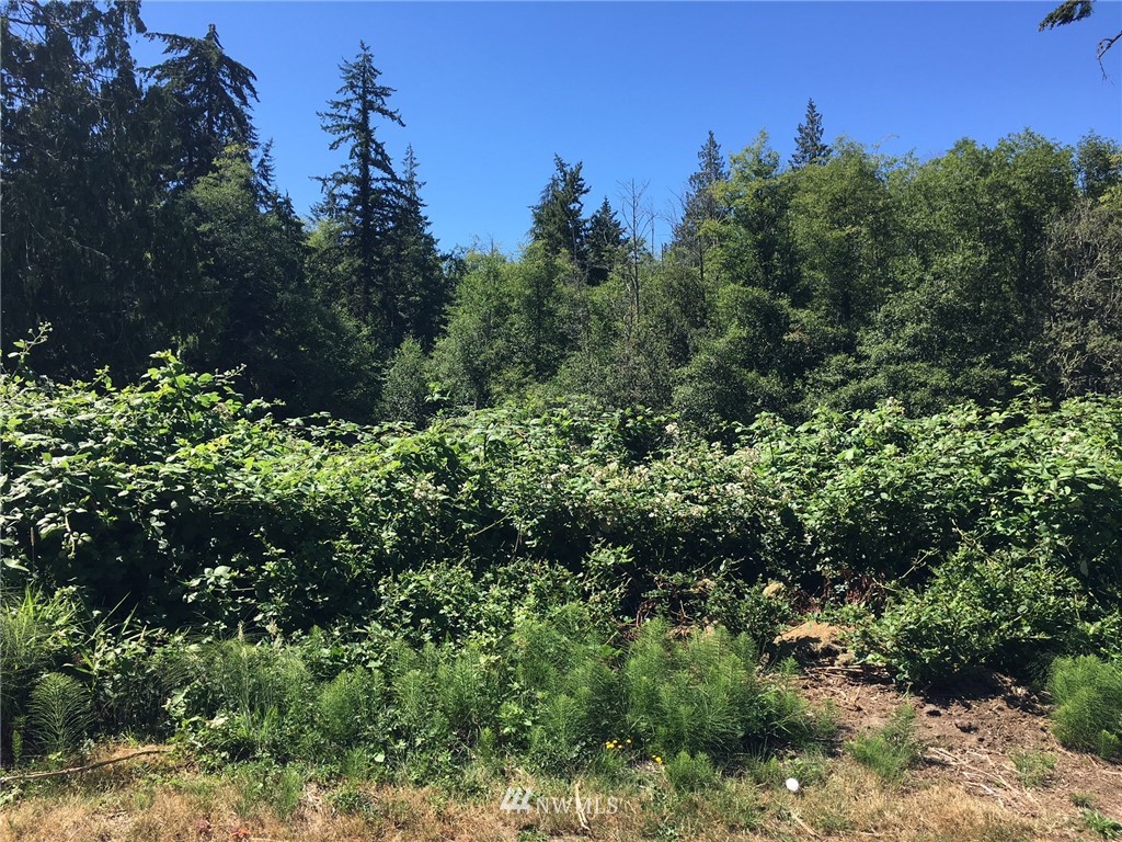 4955 Reindeer Road Freeland, WA 98249 - Photo 1 of 5 Gallery Image 1