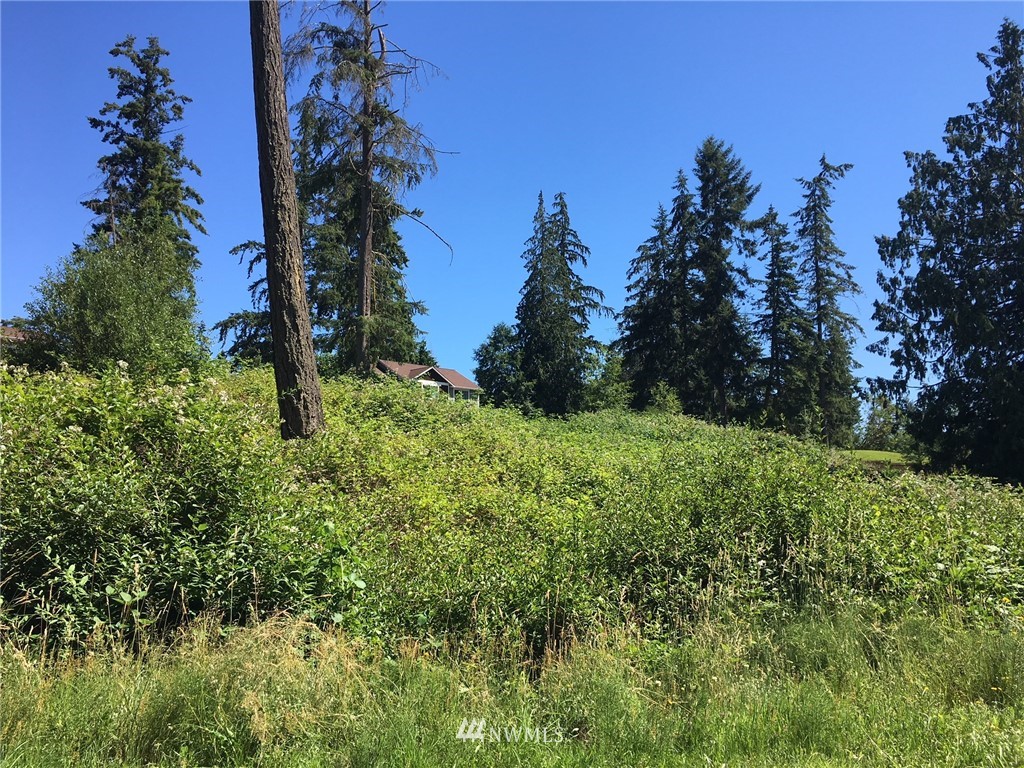 4955 Reindeer Road Freeland, WA 98249 - Photo 4 of 5 Gallery Image 4