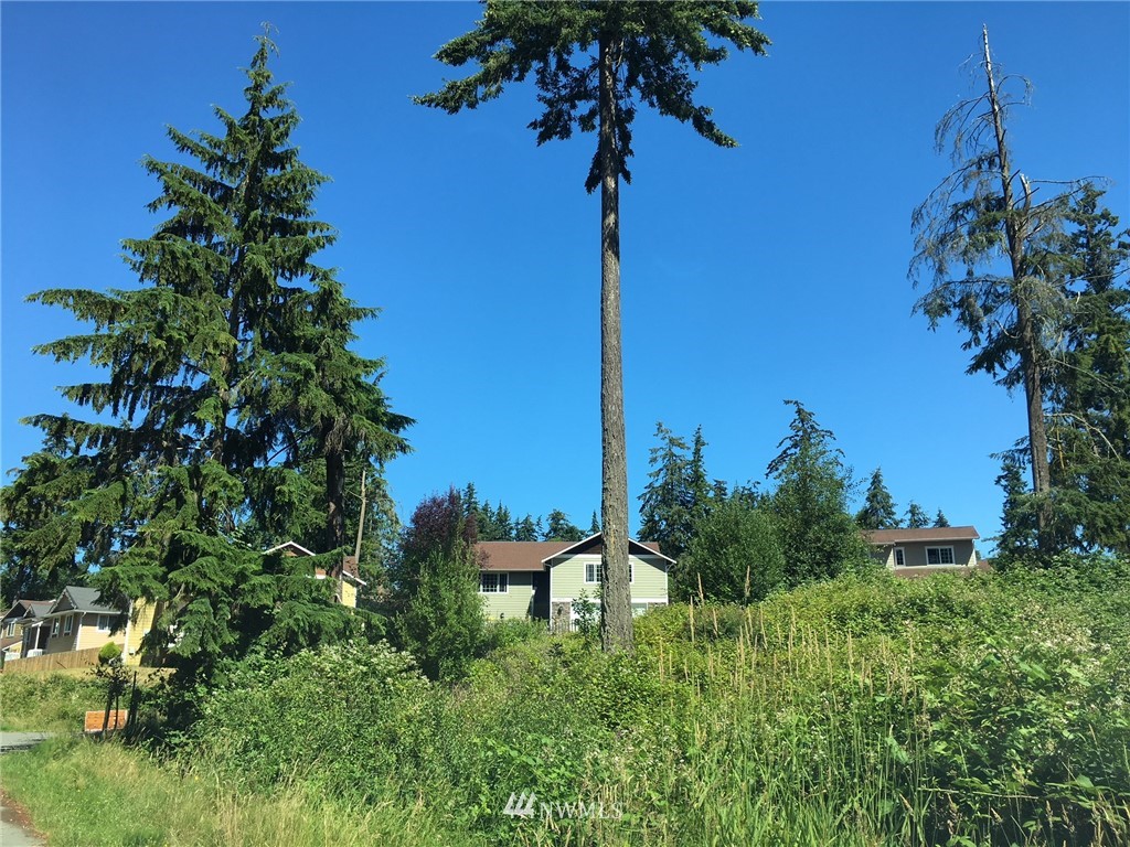 4955 Reindeer Road Freeland, WA 98249 - Photo 5 of 5 Gallery Image 5