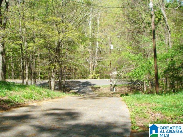 6319 Saks Road Anniston, AL 36206 - Photo 8 of 20